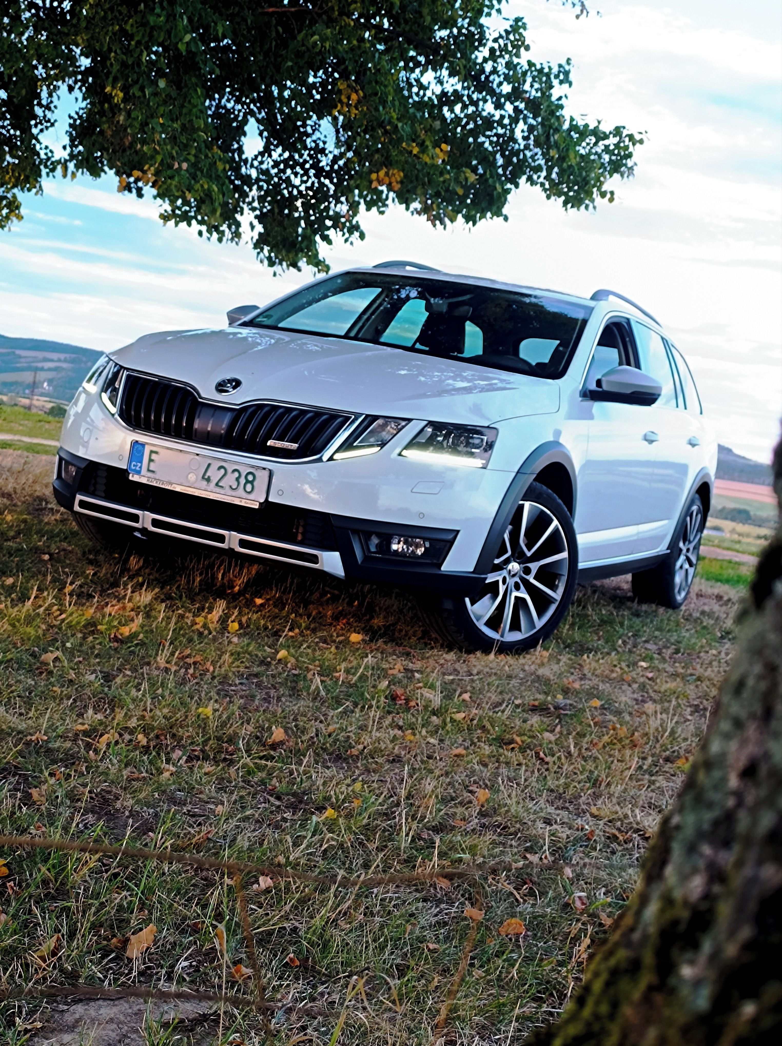 Škoda Octavia, 2.0Tdi 135kw Scout Elegance