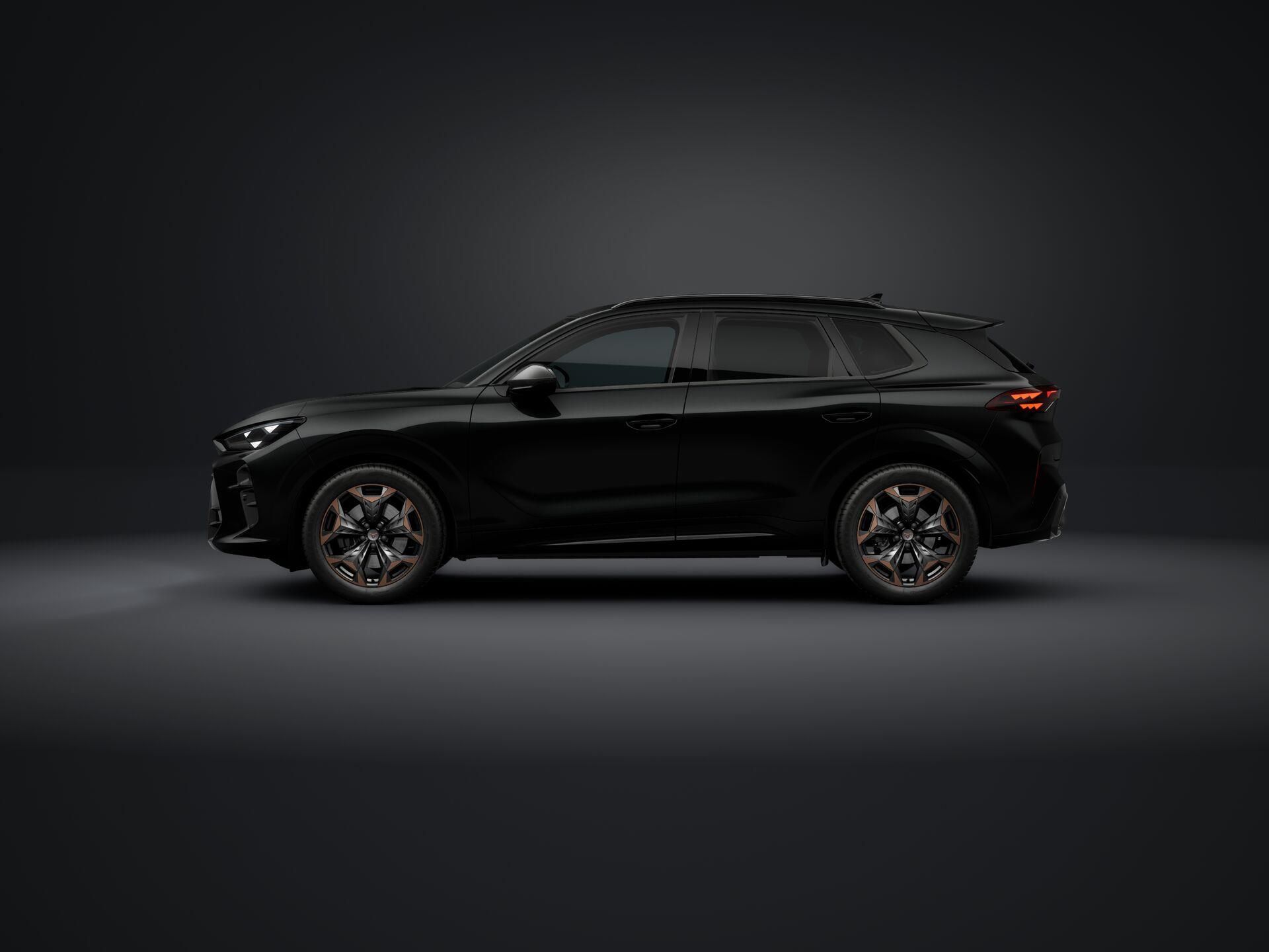 Cupra Terramar, 2.0 TSI 204k DSG 4WD - fotka 2