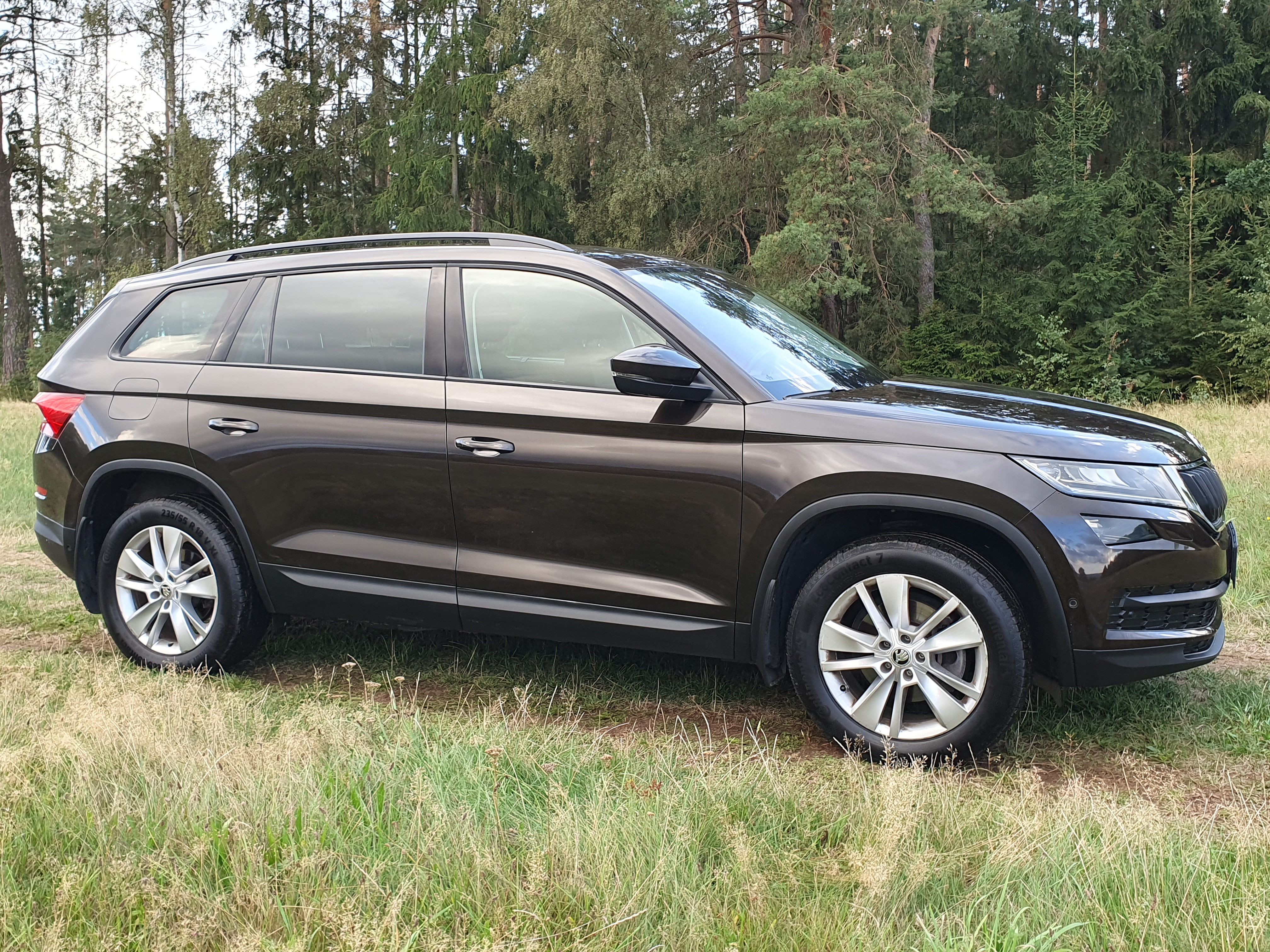 Škoda Kodiaq, 1.9 TDI 4x4, první majitel - fotka 4
