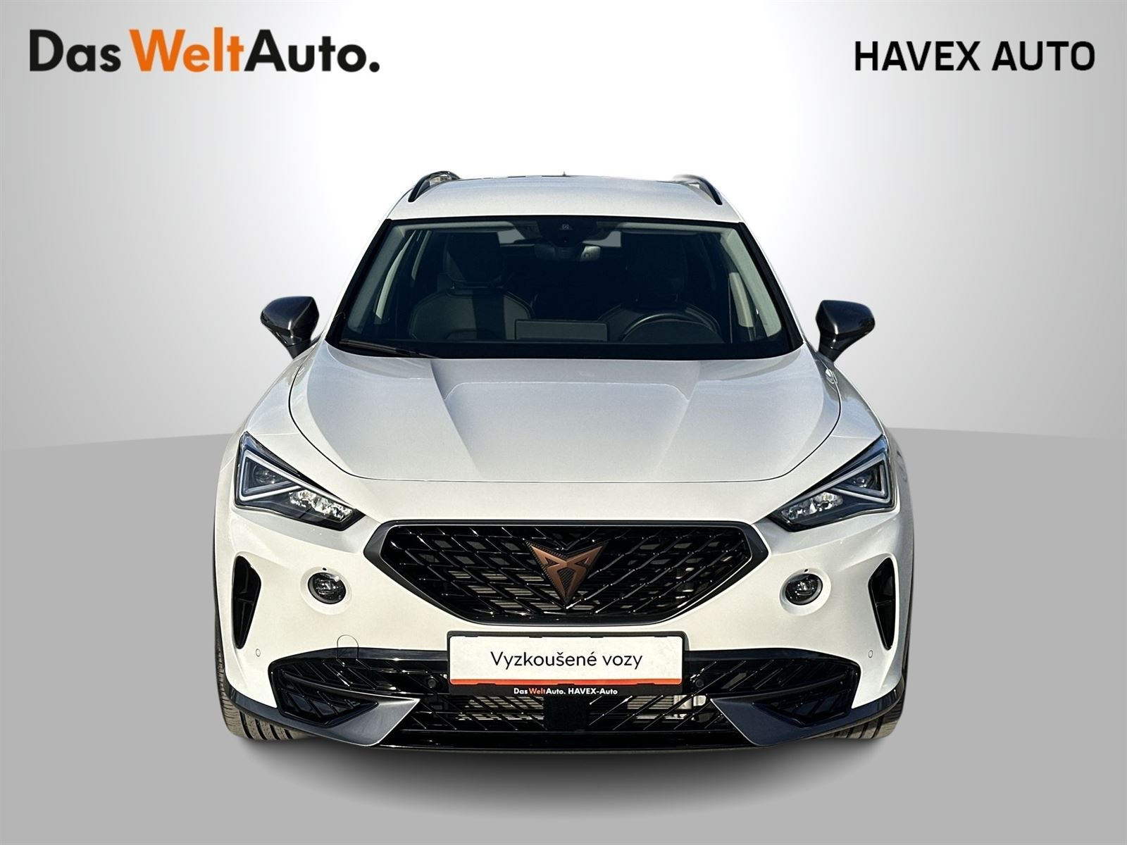 Cupra Formentor, 1.5 TSI DSG - fotka 4