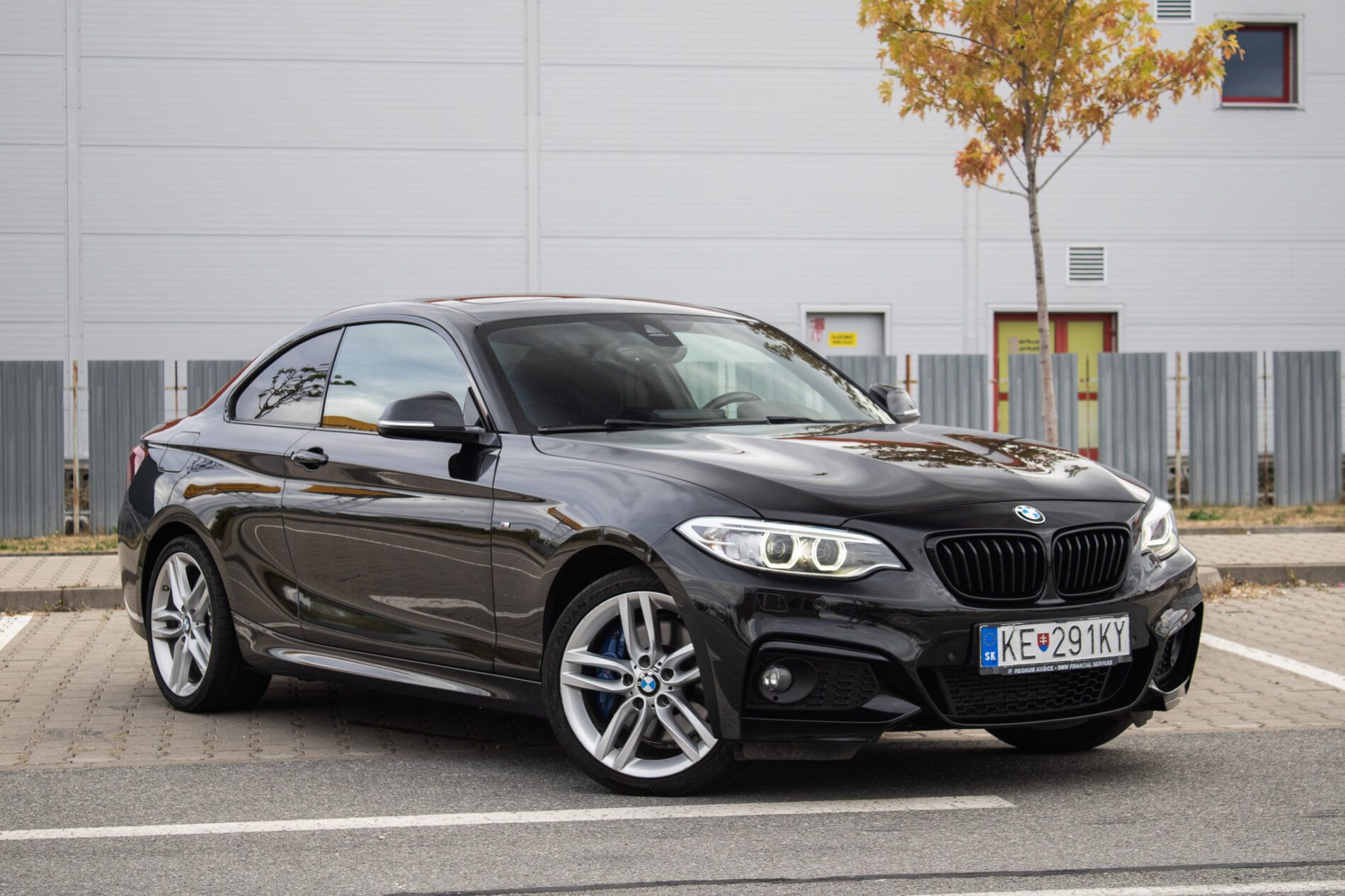 BMW, rad 2 Coupé - fotka 3