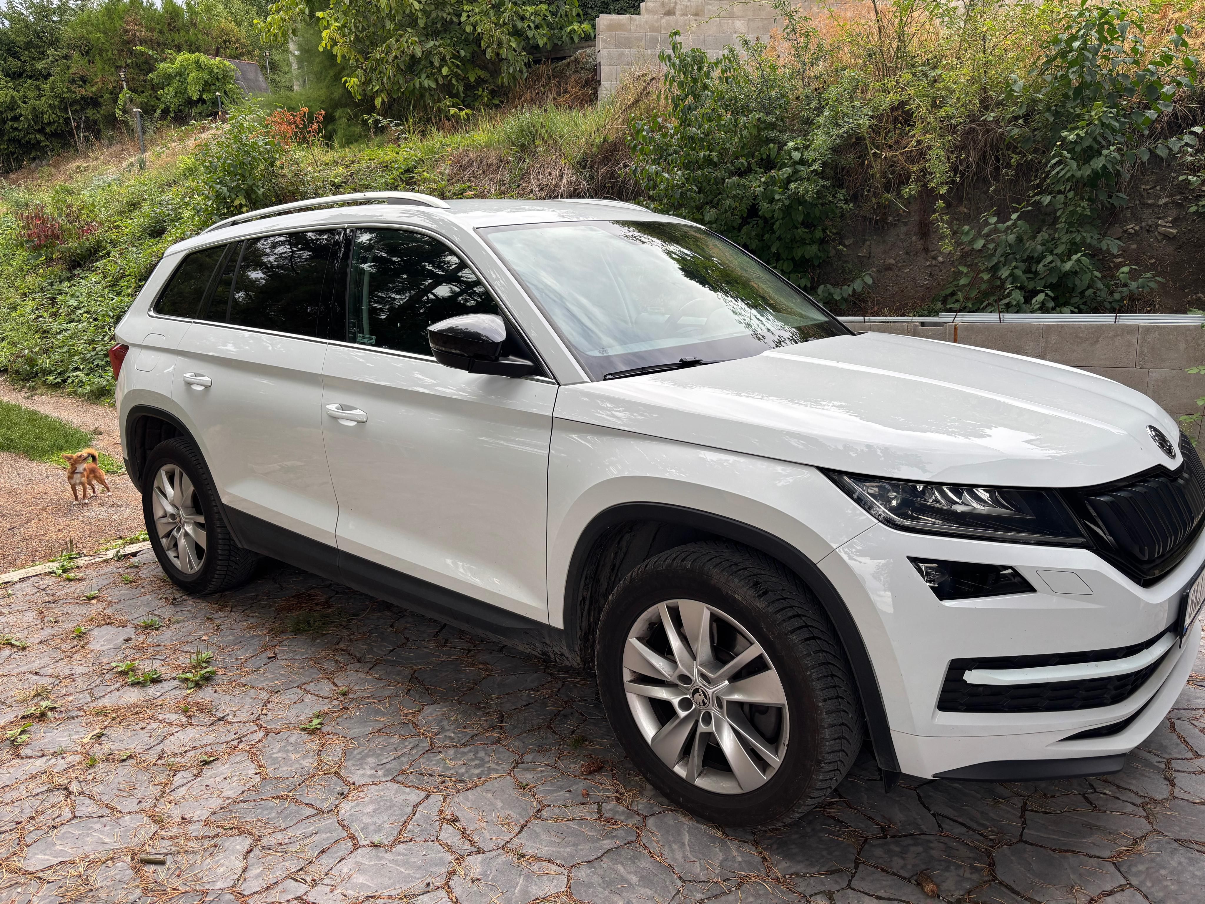 Škoda Kodiaq, Škoda Kodiaq 2.0 TDi