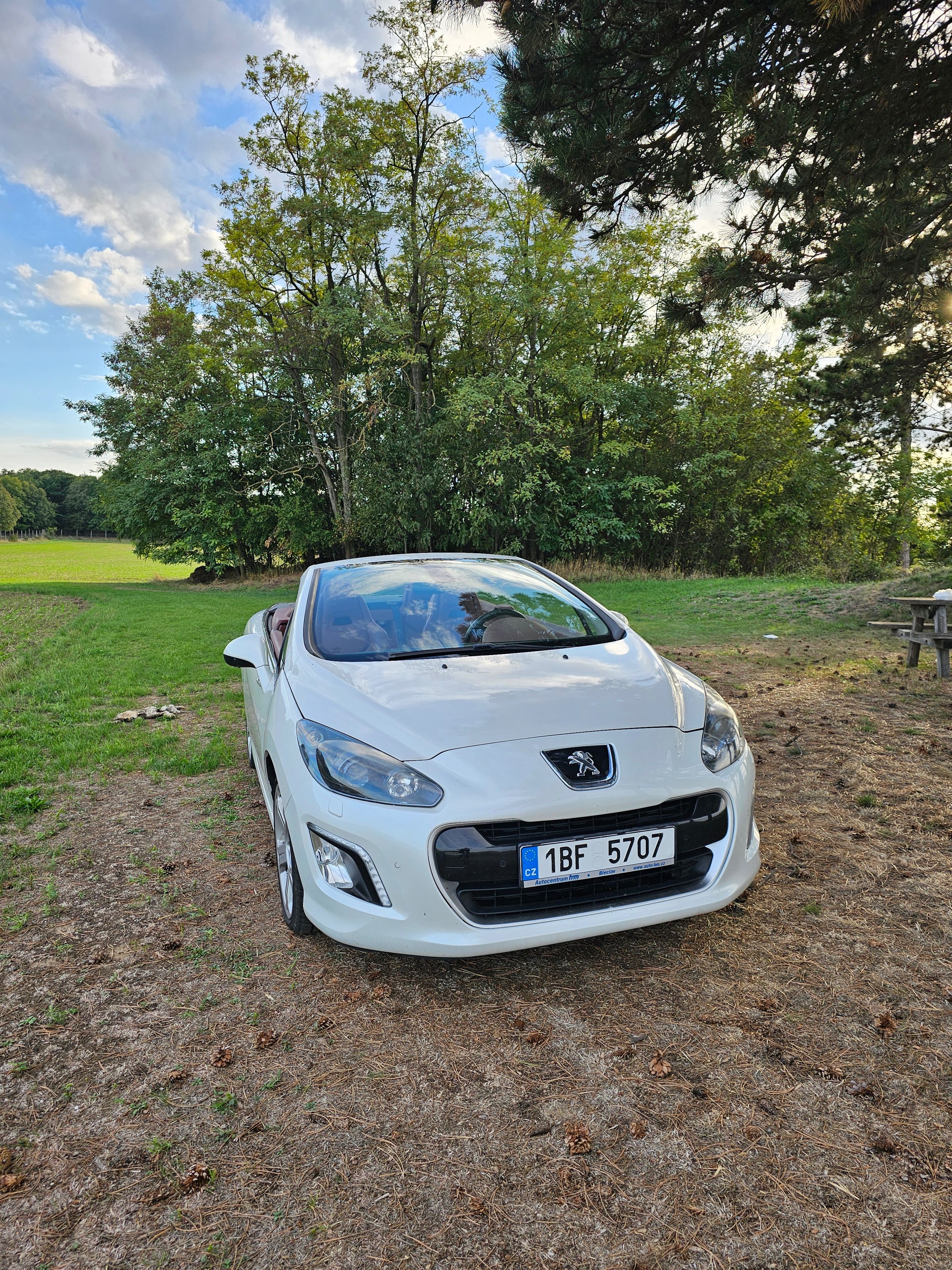Peugeot 308, Peugeot 308 cc Cabrio - fotka 4