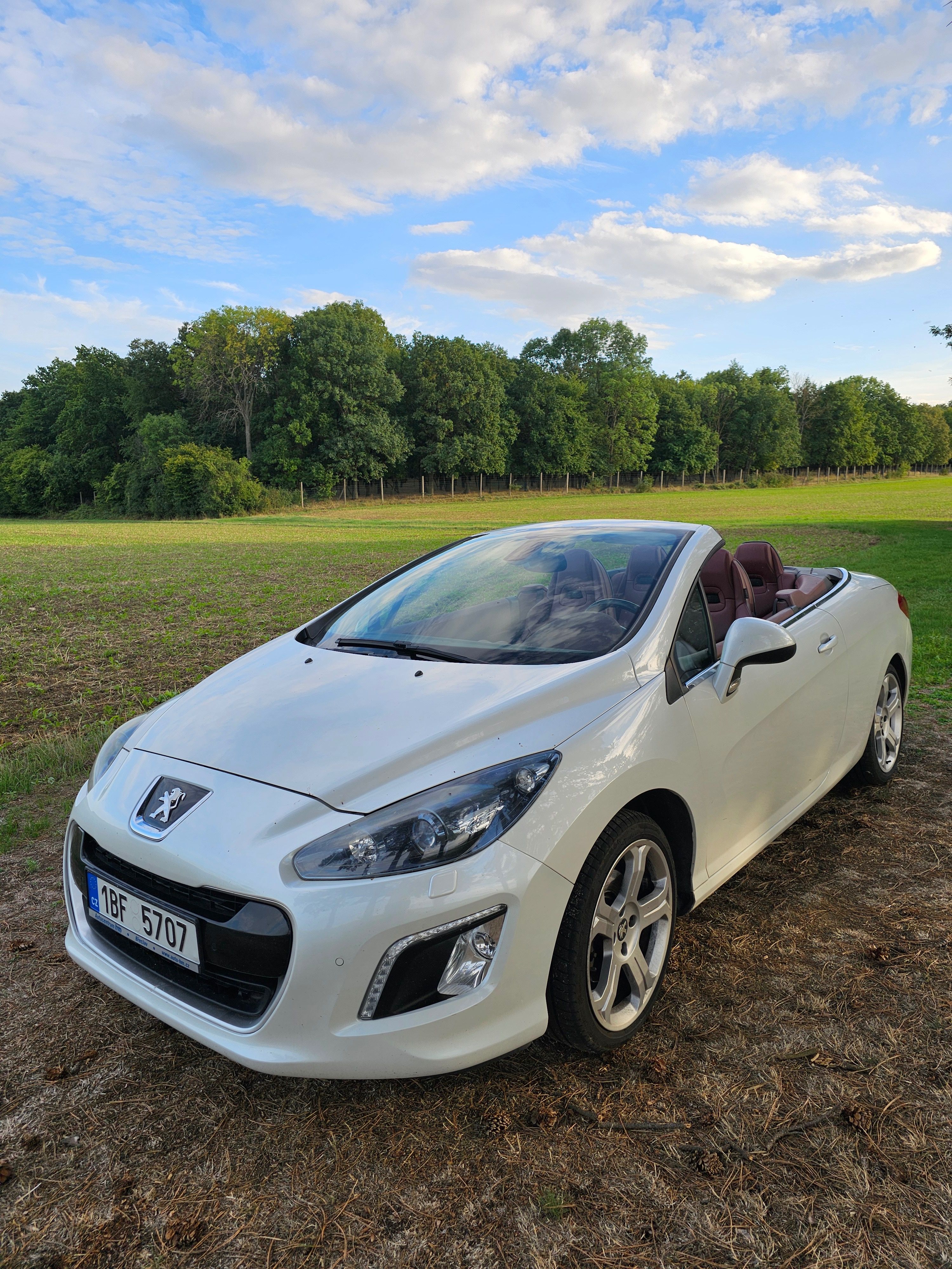 Peugeot 308, Peugeot 308 cc Cabrio - fotka 6