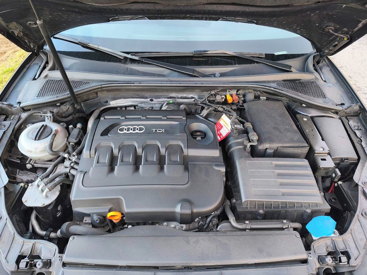 Audi A3, Audi A3 2,0 TDi - fotka 4