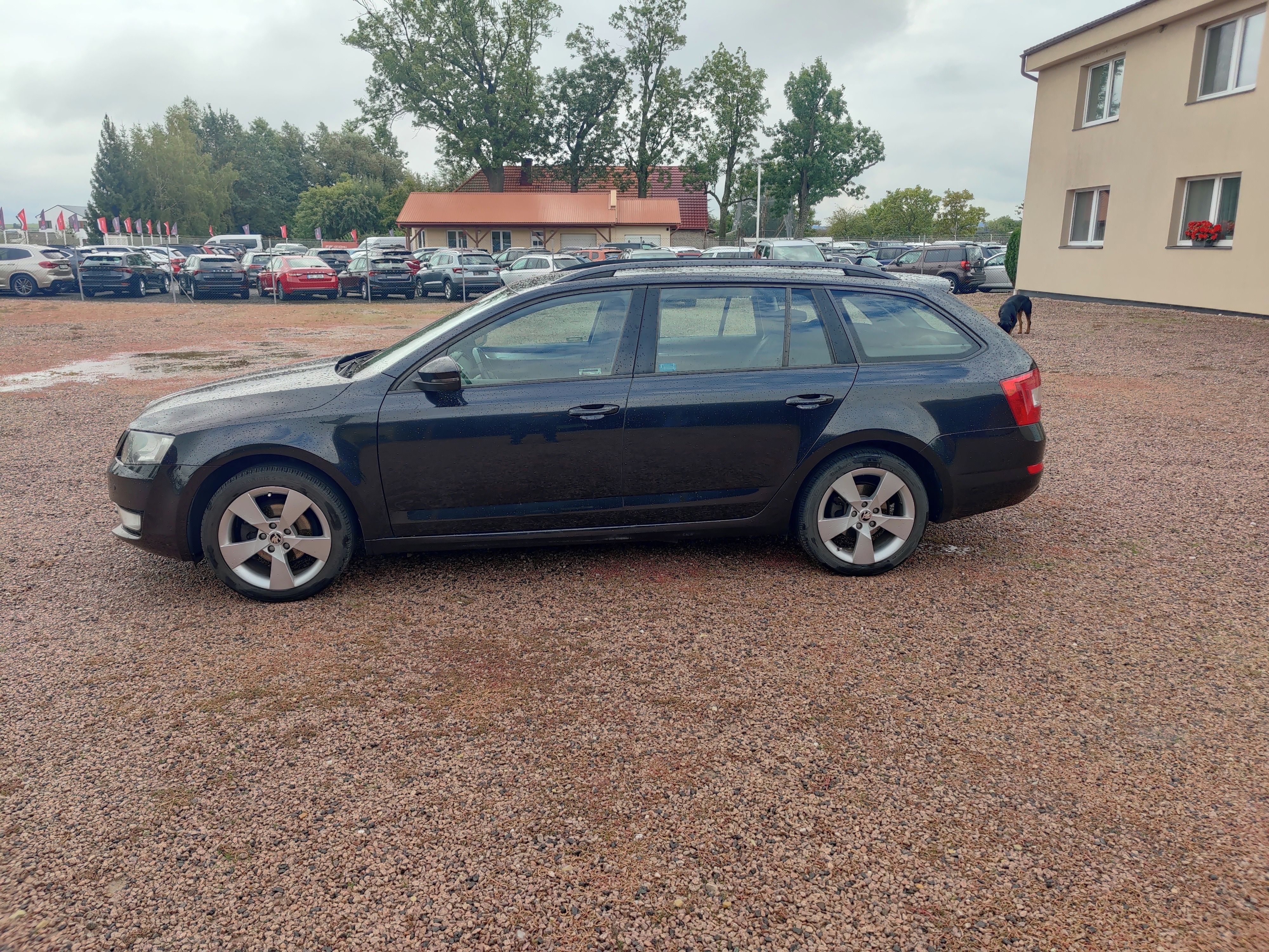Škoda Octavia, 4x4,ČR ,2 MAJ.,PLNÝ SERVIS - fotka 2