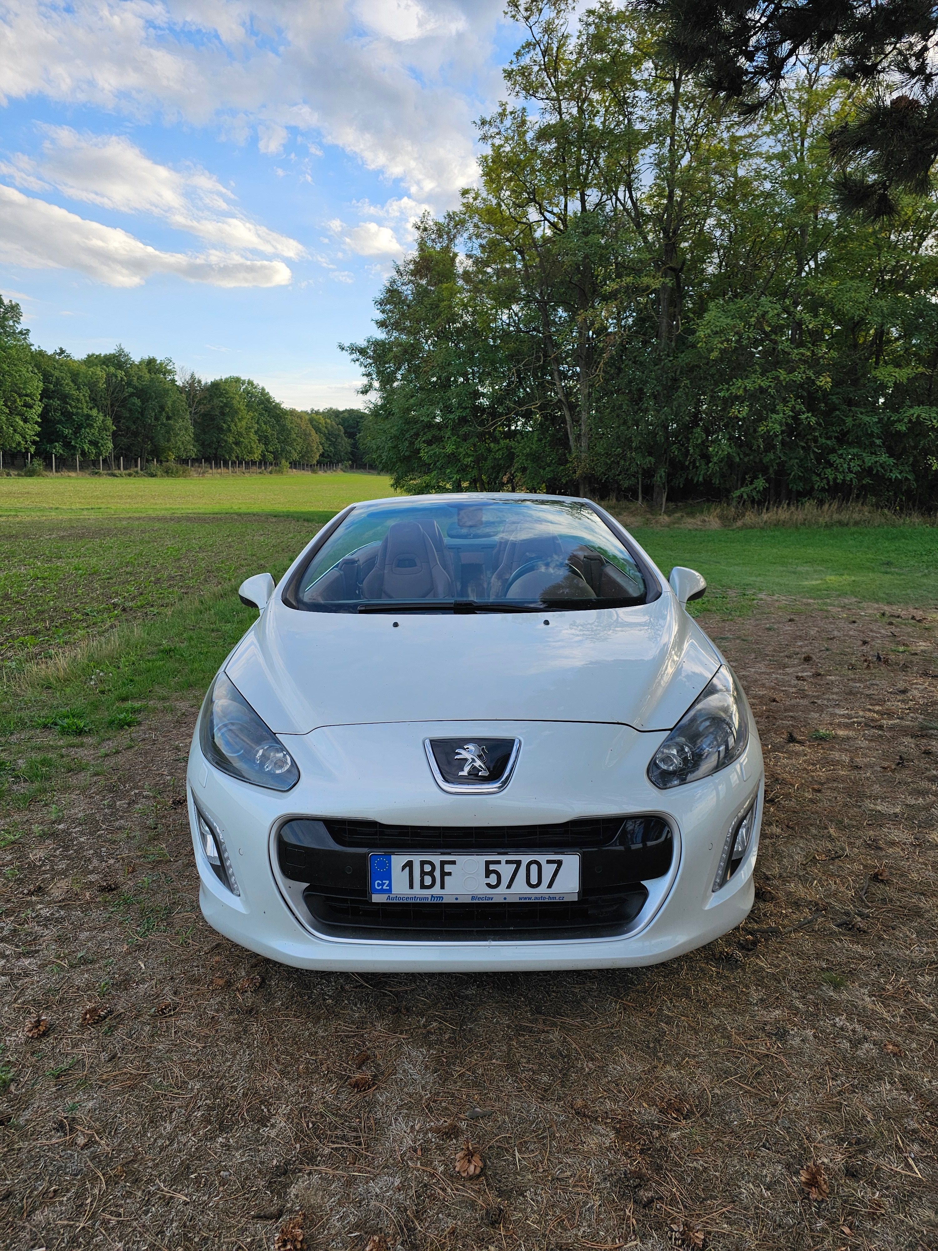 Peugeot 308, Peugeot 308 cc Cabrio - fotka 5