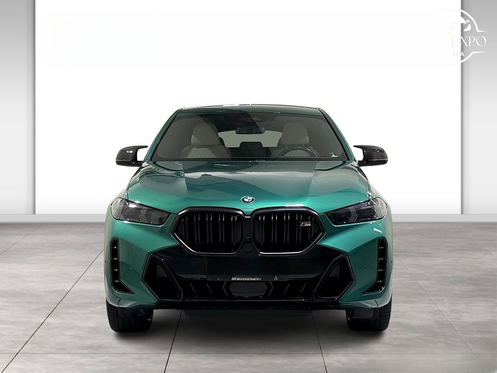 BMW X6, X6 M60i xDrive Pro B&W - fotka 5