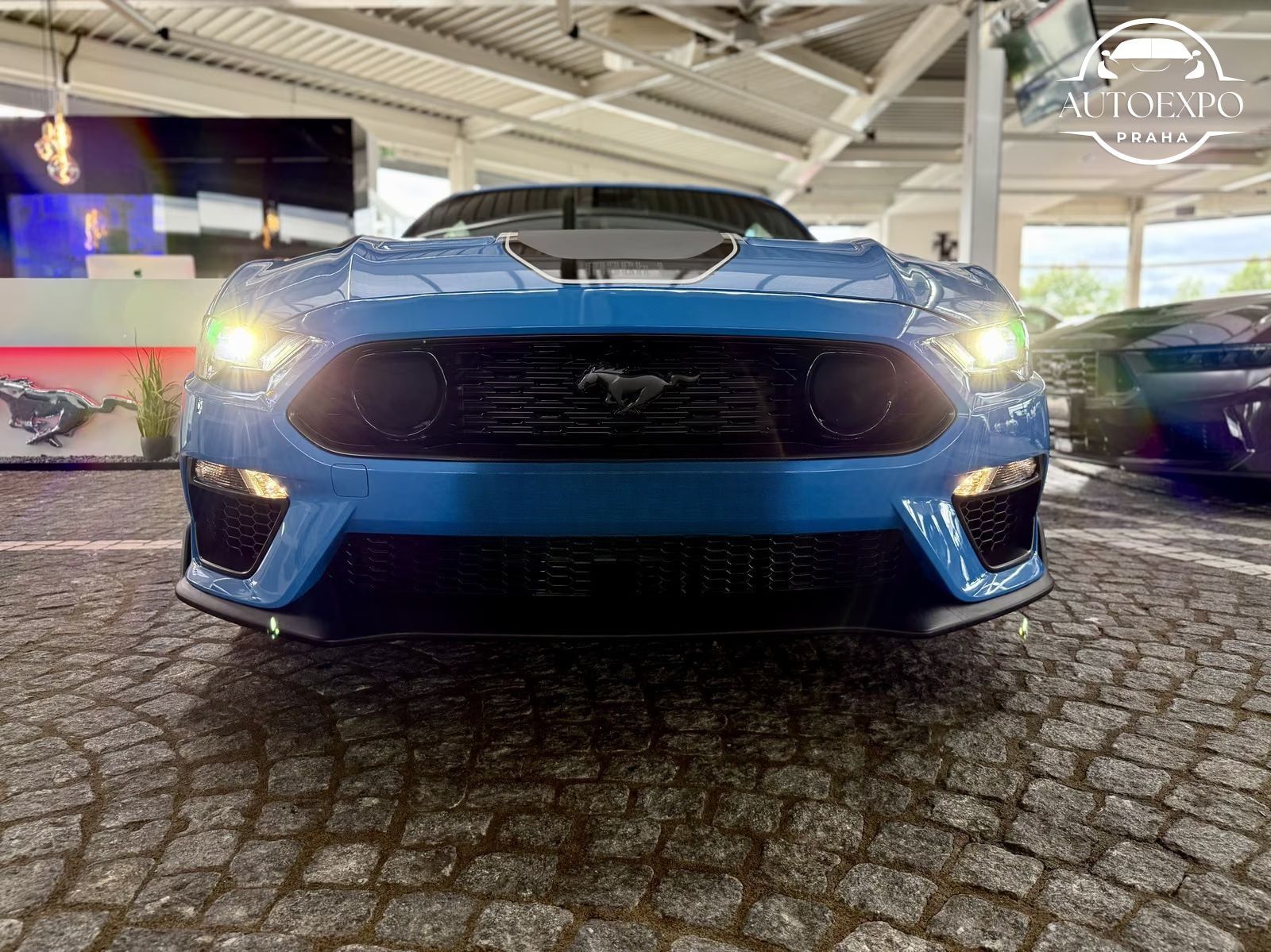 Ford Mustang, Mach1 Autom RECARO - fotka 6