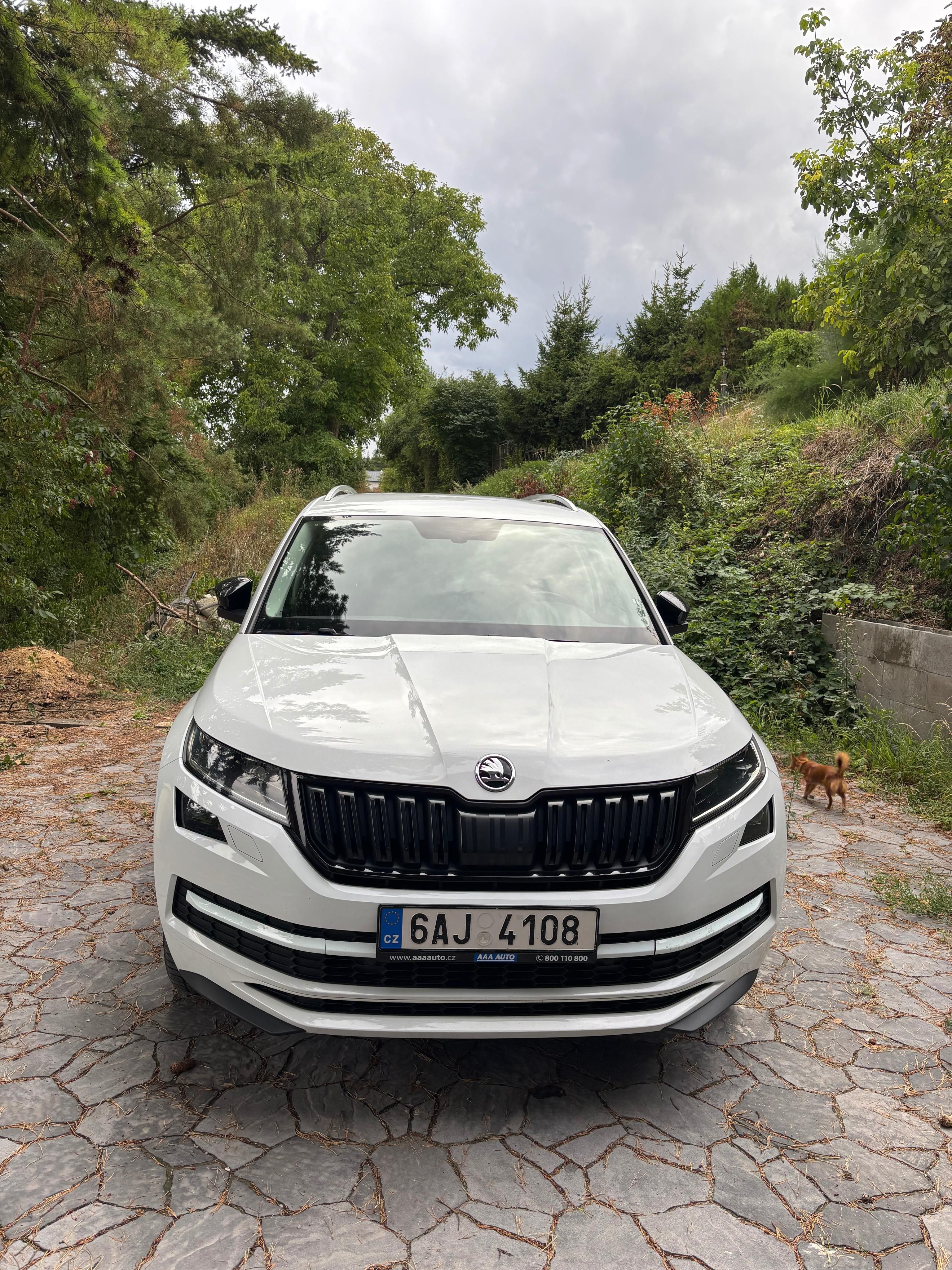 Škoda Kodiaq, Škoda Kodiaq 2.0 TDi - fotka 2