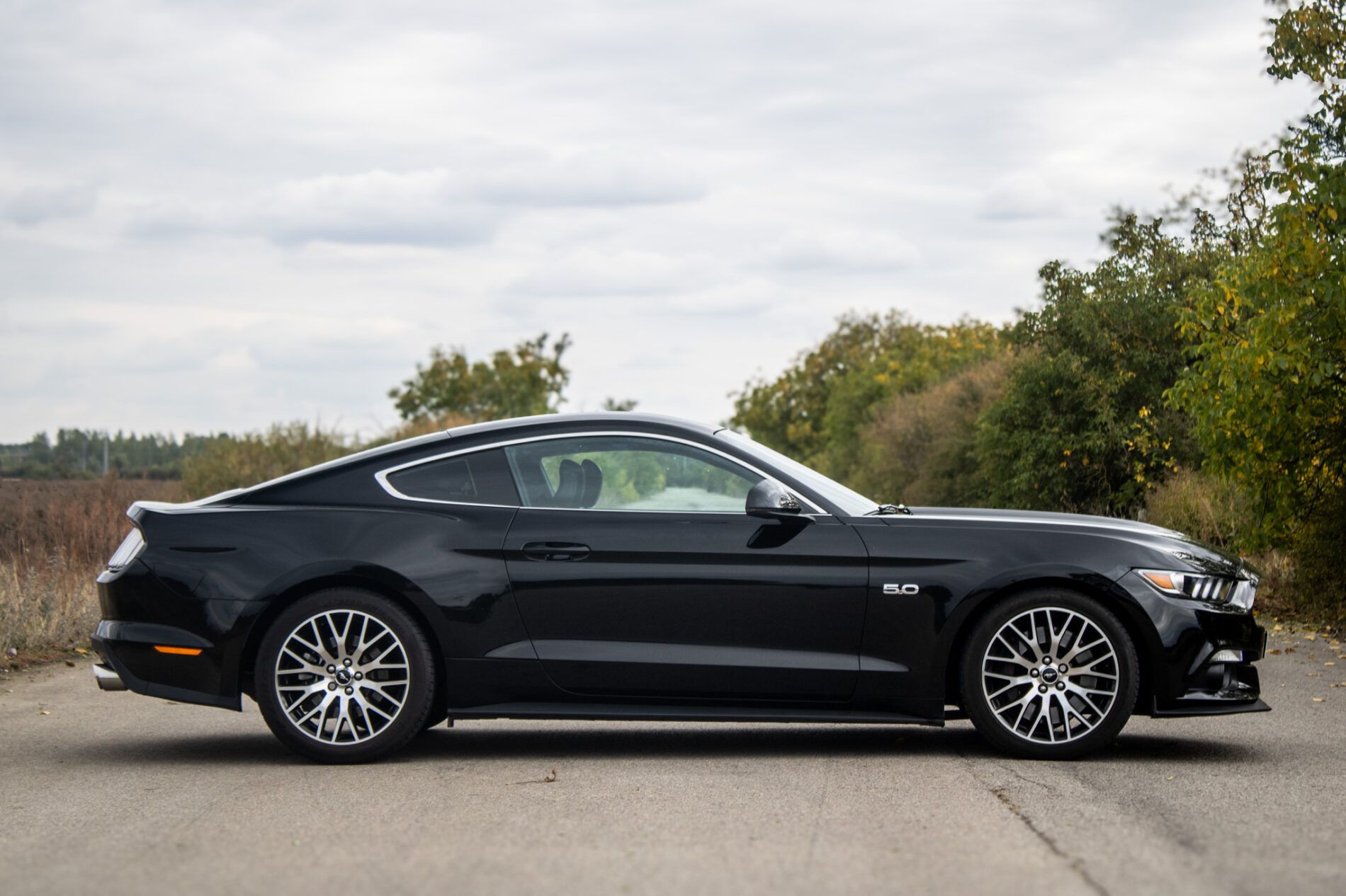 Ford Mustang - fotka 4