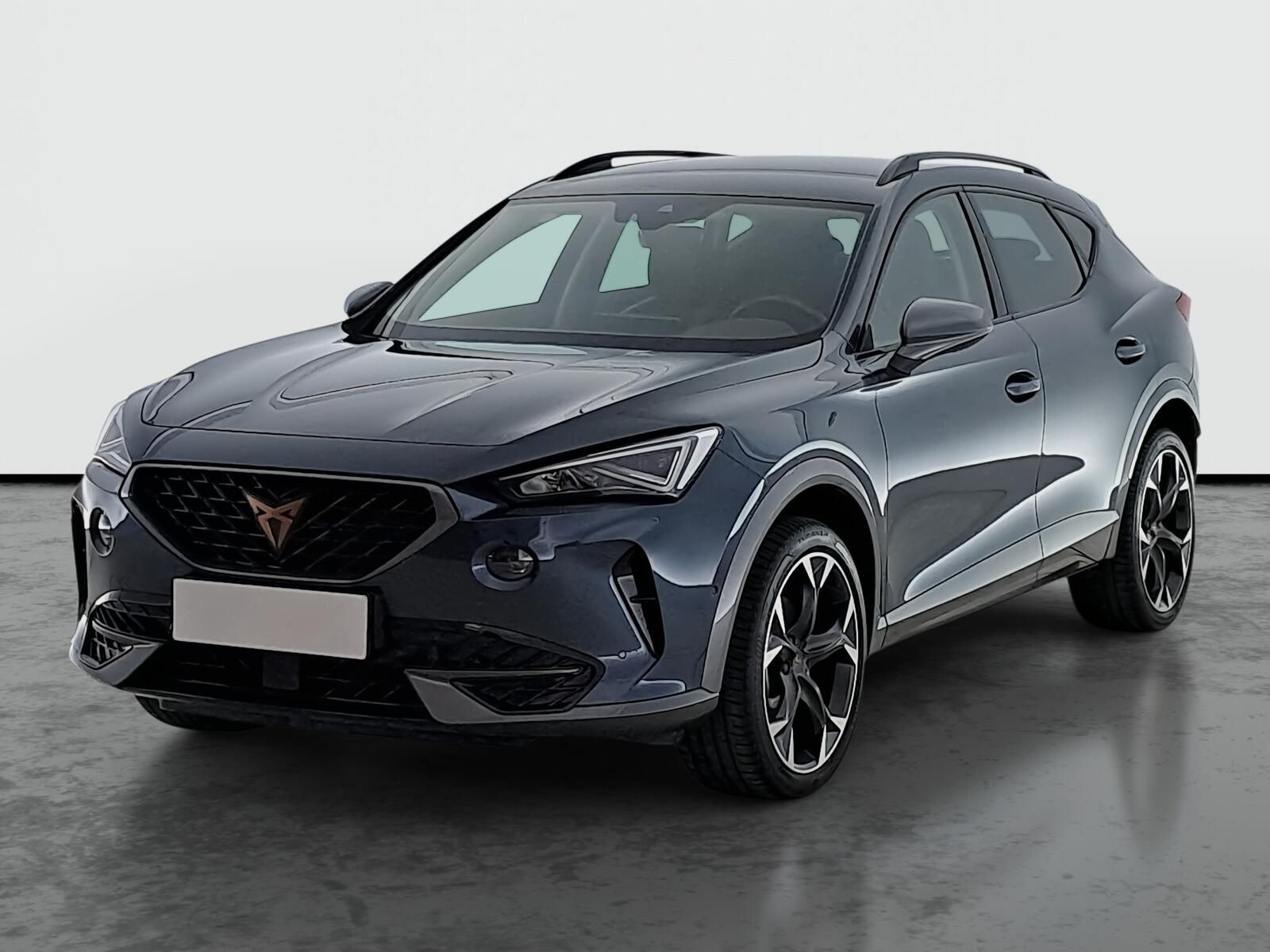 Cupra Formentor, 2.0 TSI 4Drive, Záruka, 4X4 - fotka 2