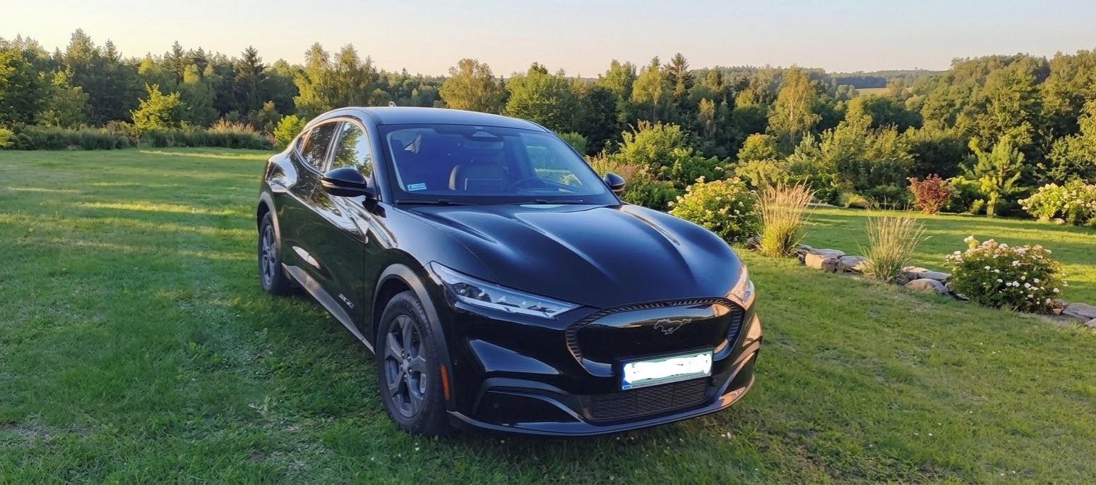 Ford Mustang Mach-E, 98kWh servis, záruka - fotka 5