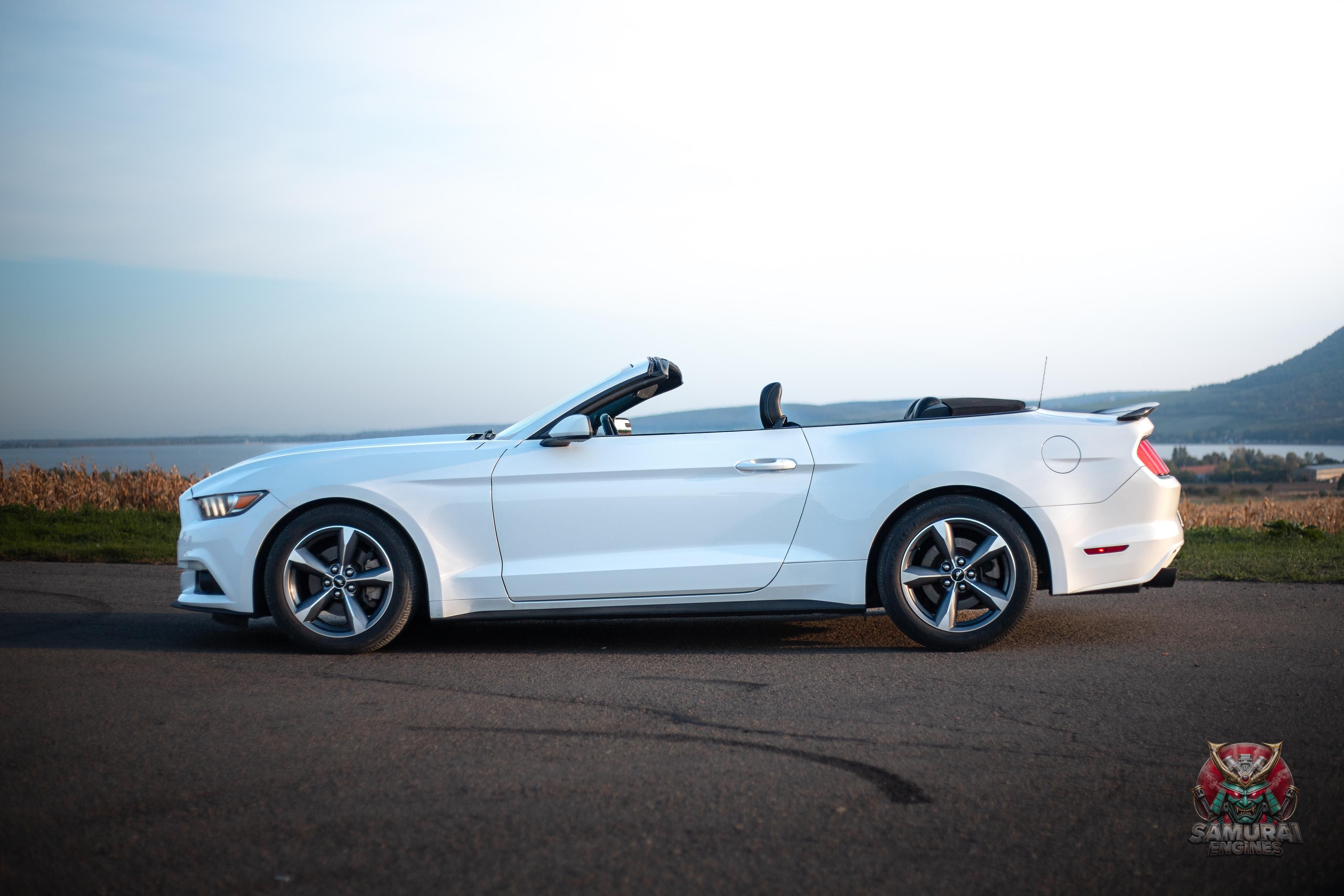 Ford Mustang, Ford Mustang 3.7l V6 - fotka 4