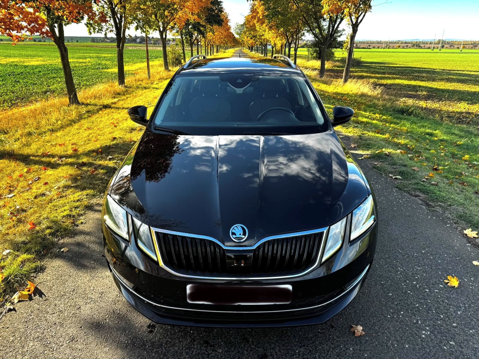 Škoda Octavia, 1,6 TDi 85 kW, TOP VÝBAVA - fotka 3