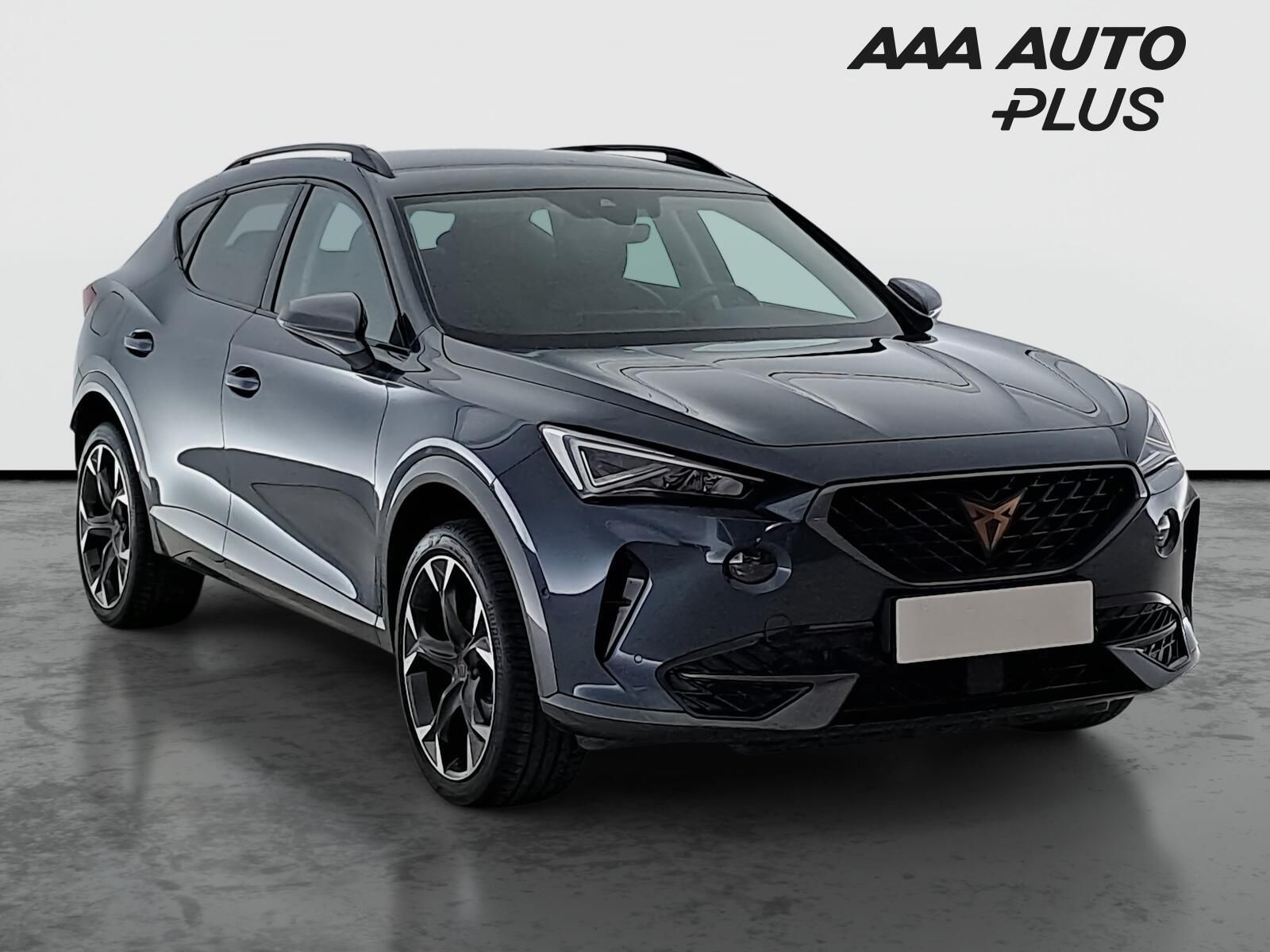 Cupra Formentor, 2.0 TSI 4Drive, Záruka, 4X4