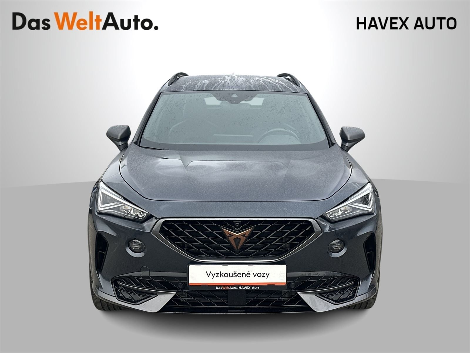 Cupra Formentor, 1.5 TSI DSG - fotka 4