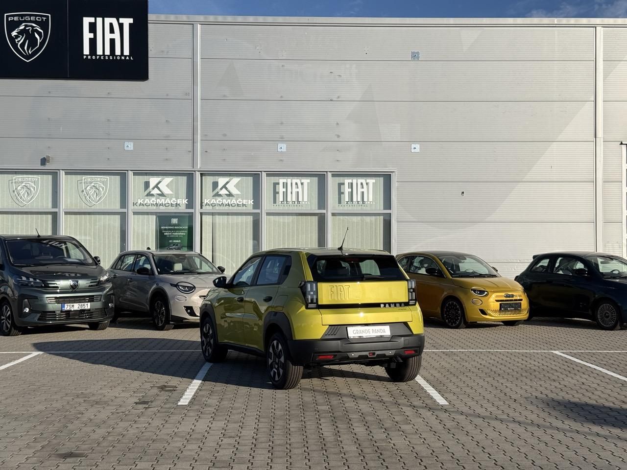 Fiat Grande Panda, Icon 1.2 Turbo Hybrid 110k - fotka 4