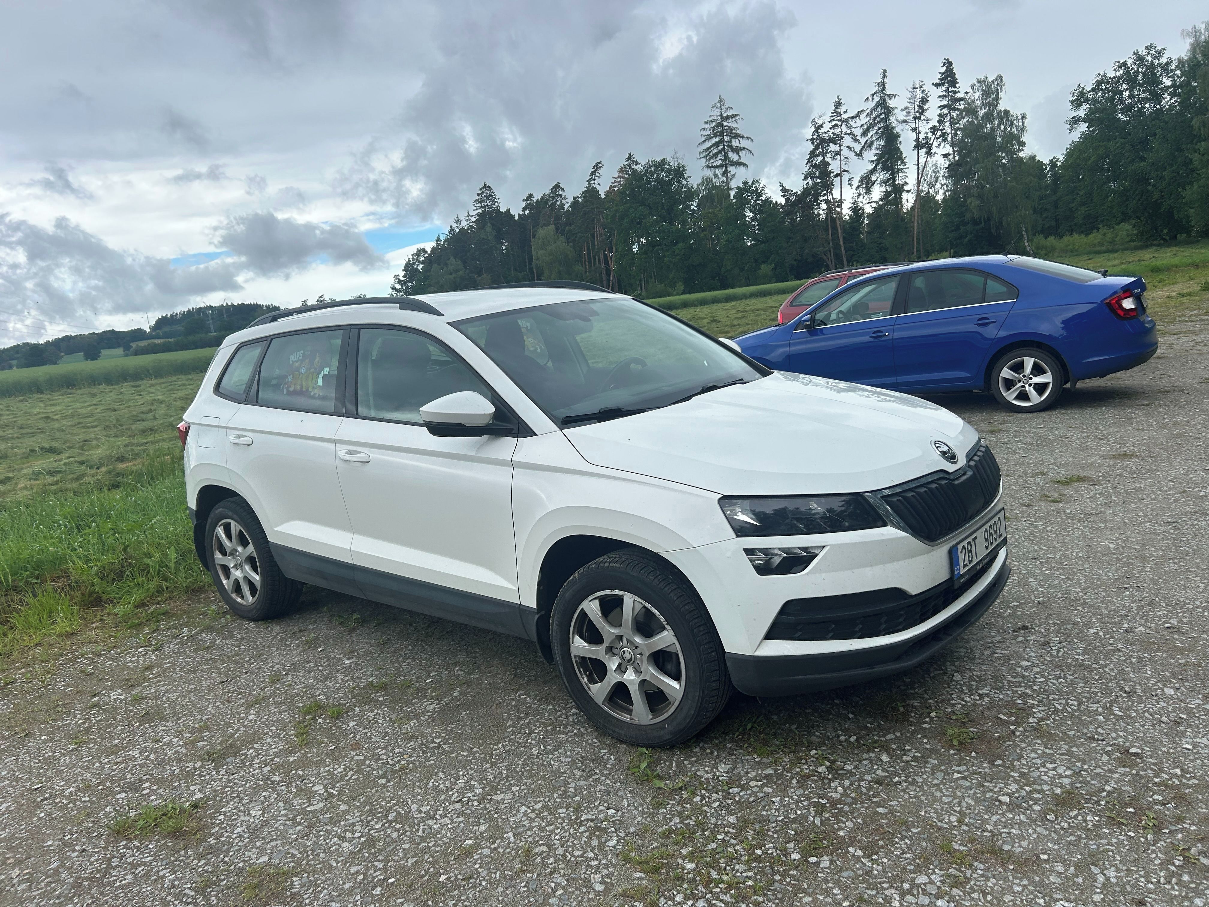 Škoda Karoq, Karoq 1.5TSi chip
