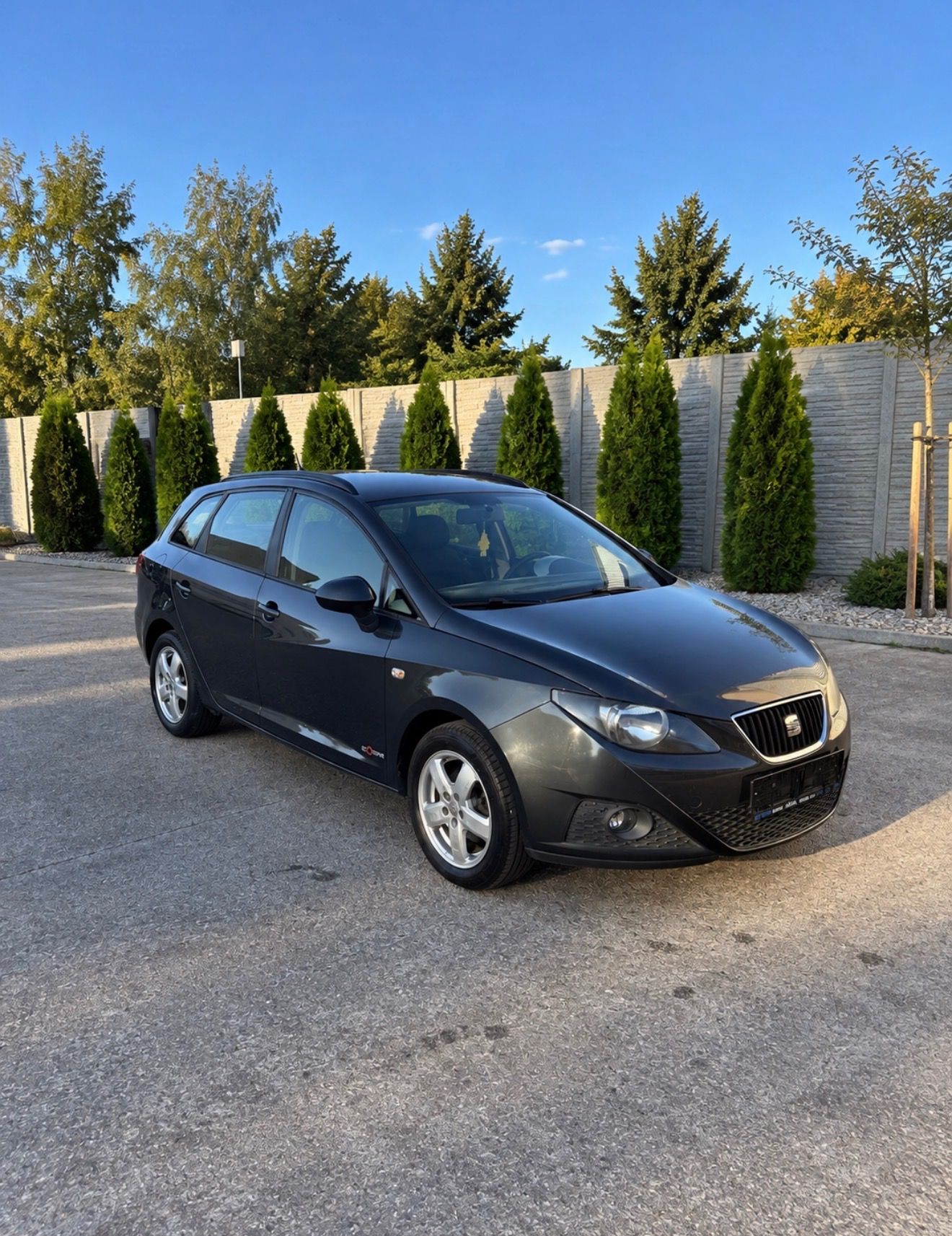 Seat Ibiza - fotka 2