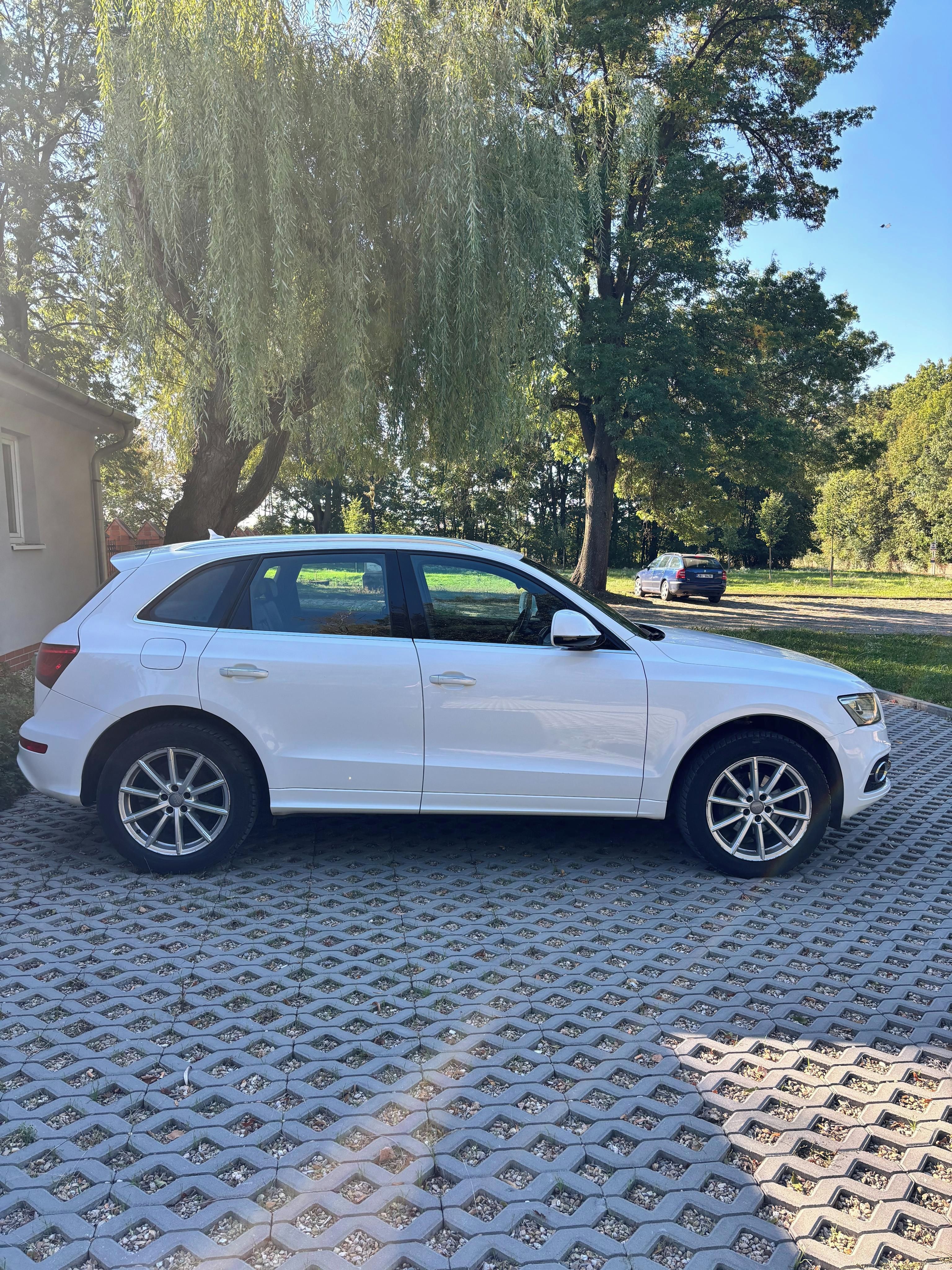 Audi Q5, Audi Q5 S-line quatrro - fotka 5