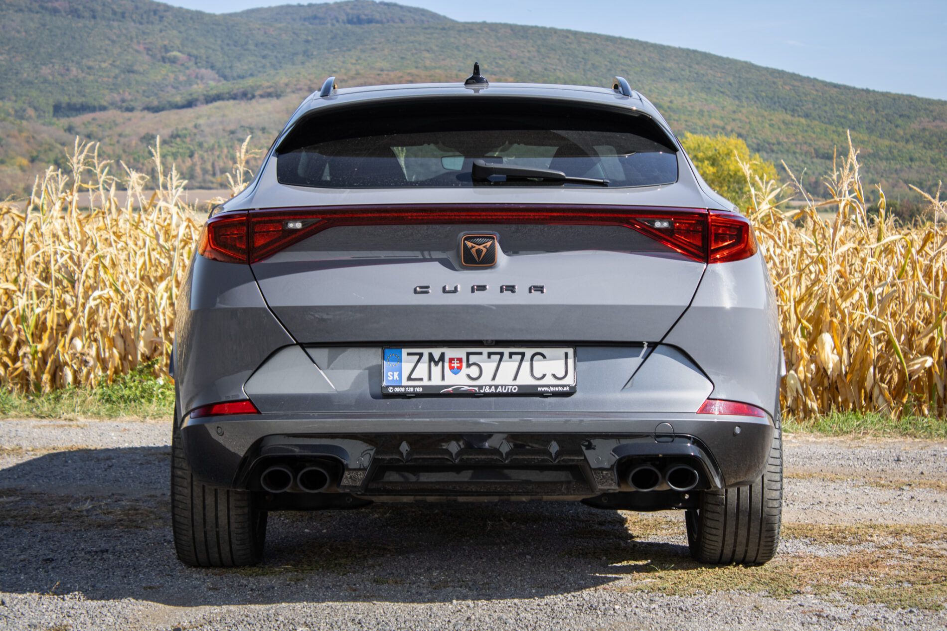 Cupra Formentor - fotka 6