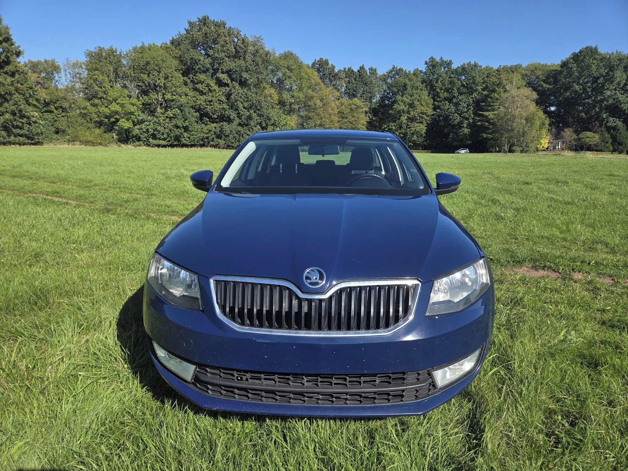 Škoda Octavia, 1.8 TSI 132 kW 4x4 DSG - fotka 2