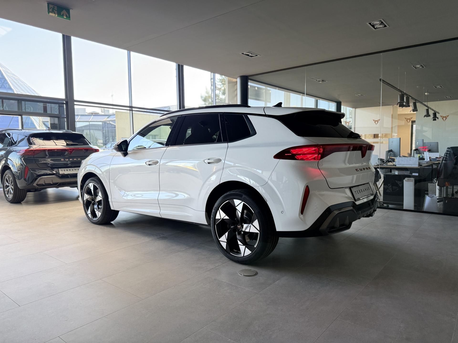 Cupra Terramar, VZ 2.0 TSi 265k DSG 4WD - fotka 4