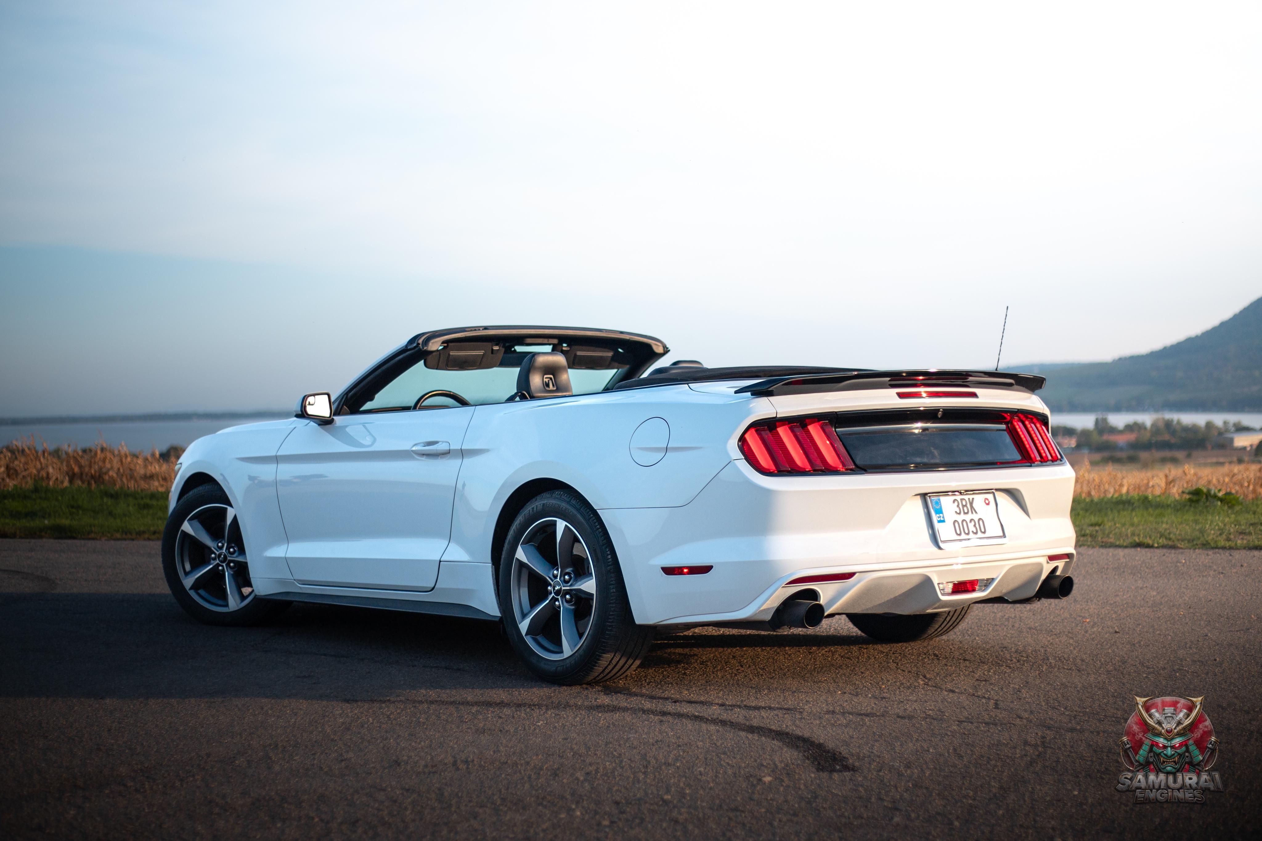 Ford Mustang, Ford Mustang 3.7l V6 - fotka 5