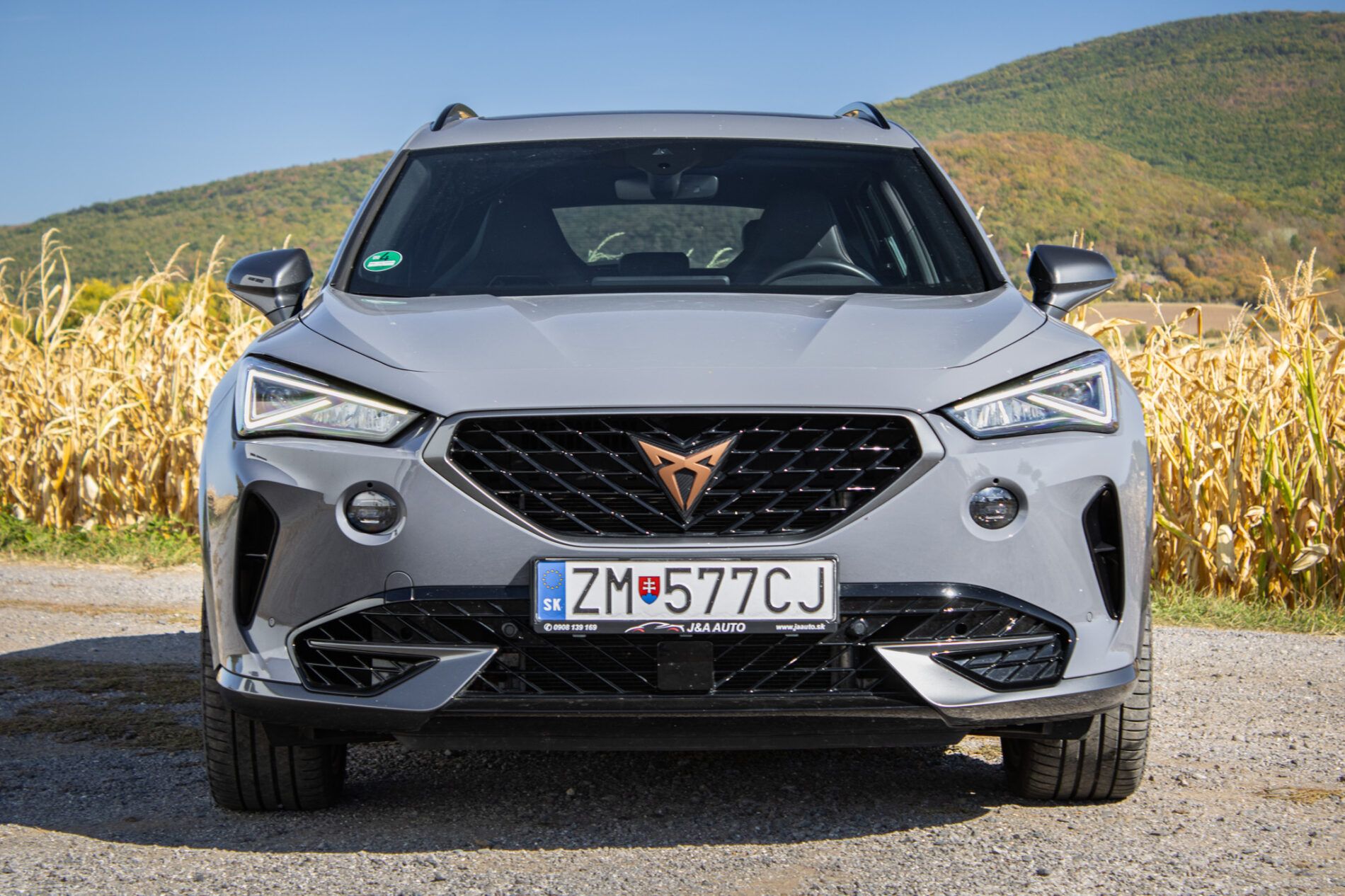 Cupra Formentor - fotka 2