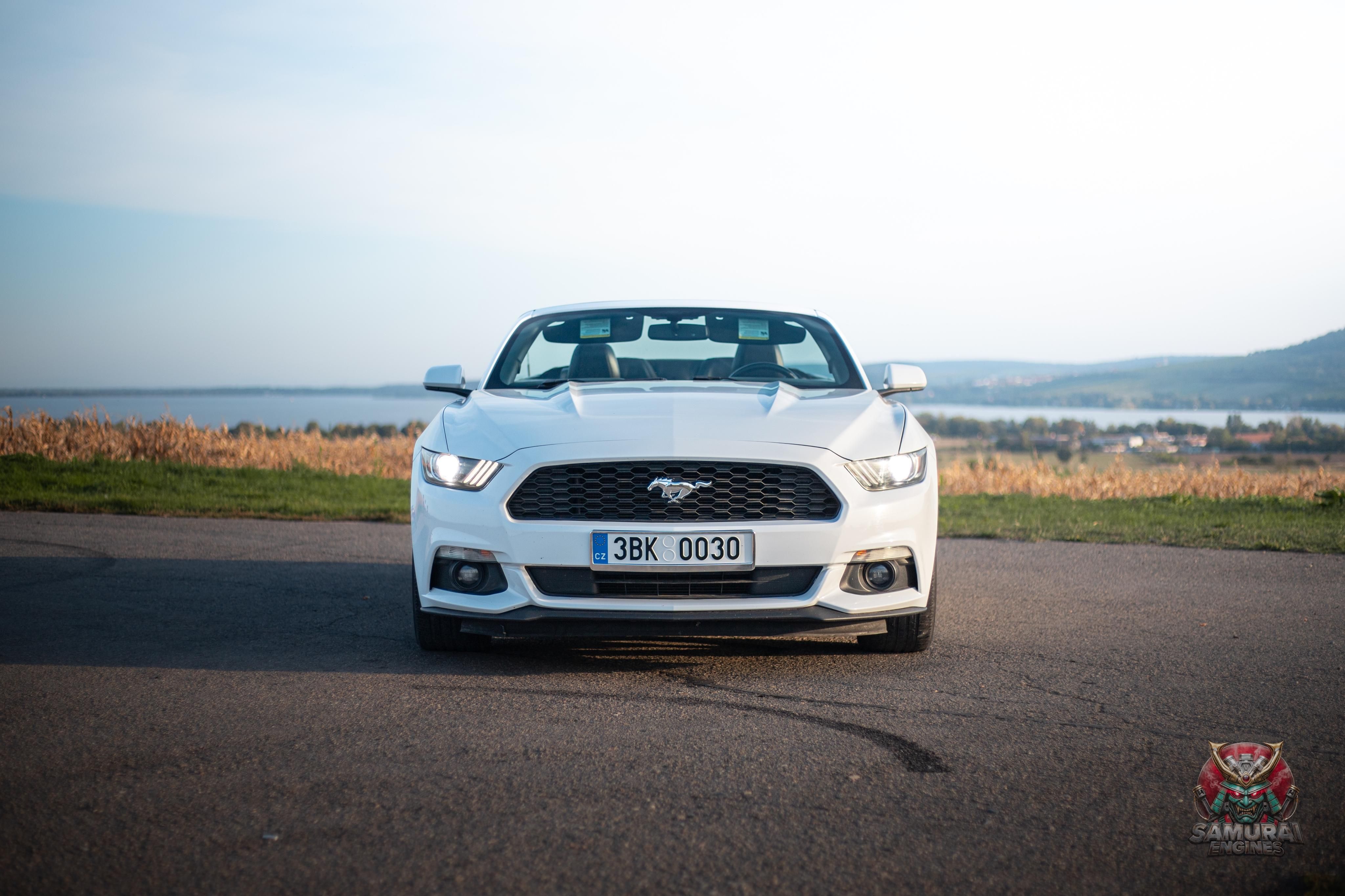Ford Mustang, Ford Mustang 3.7l V6 - fotka 2
