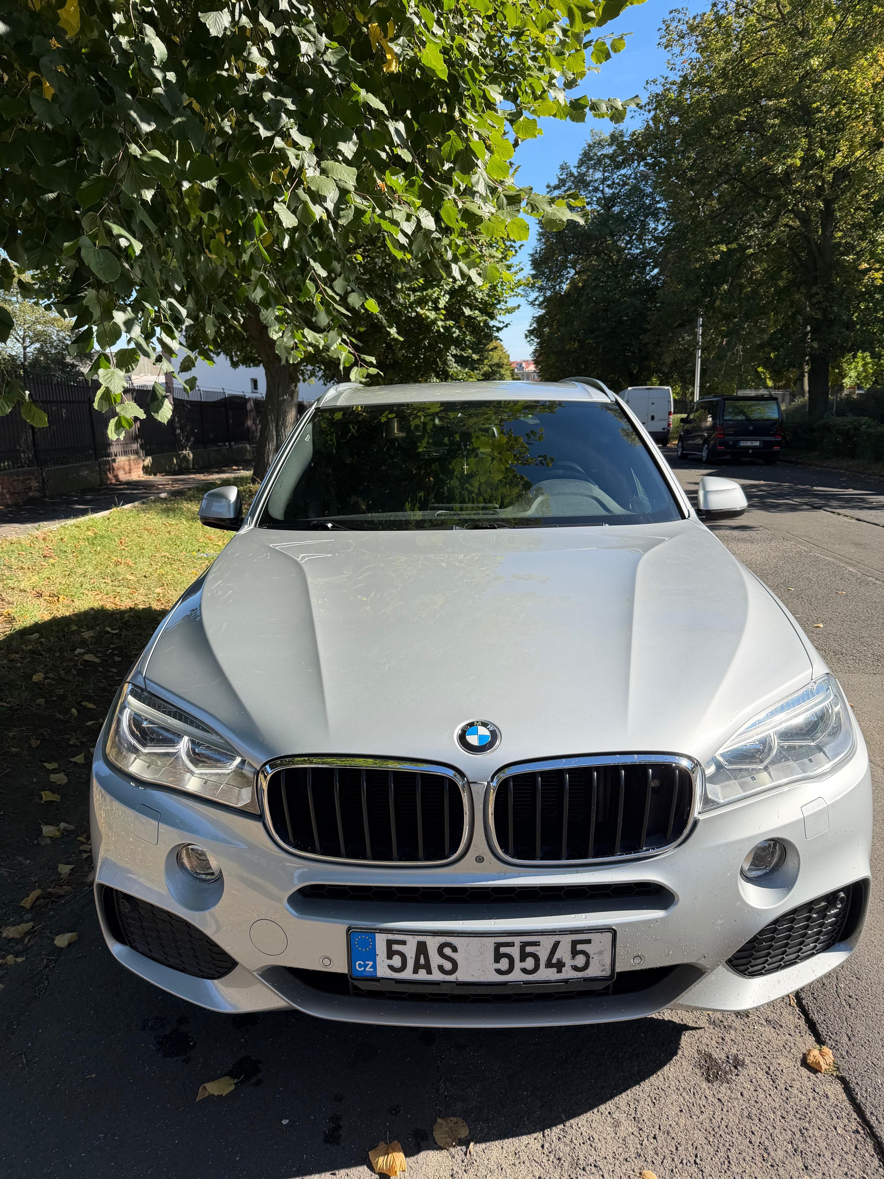 BMW X5, BMW X5 (F15) 3.0d 191 kW M Pak - fotka 5