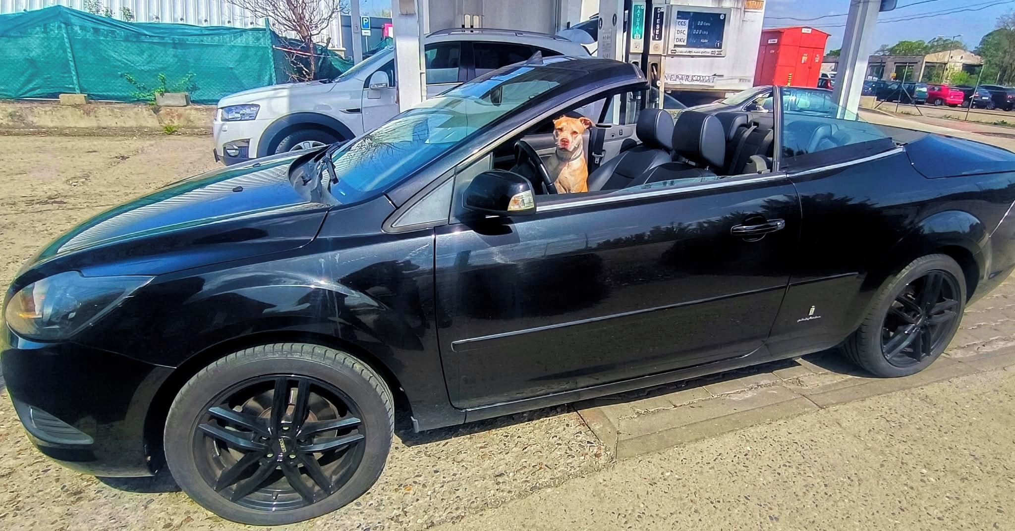 Ford Focus, Ford Focus Cabriolet - fotka 2