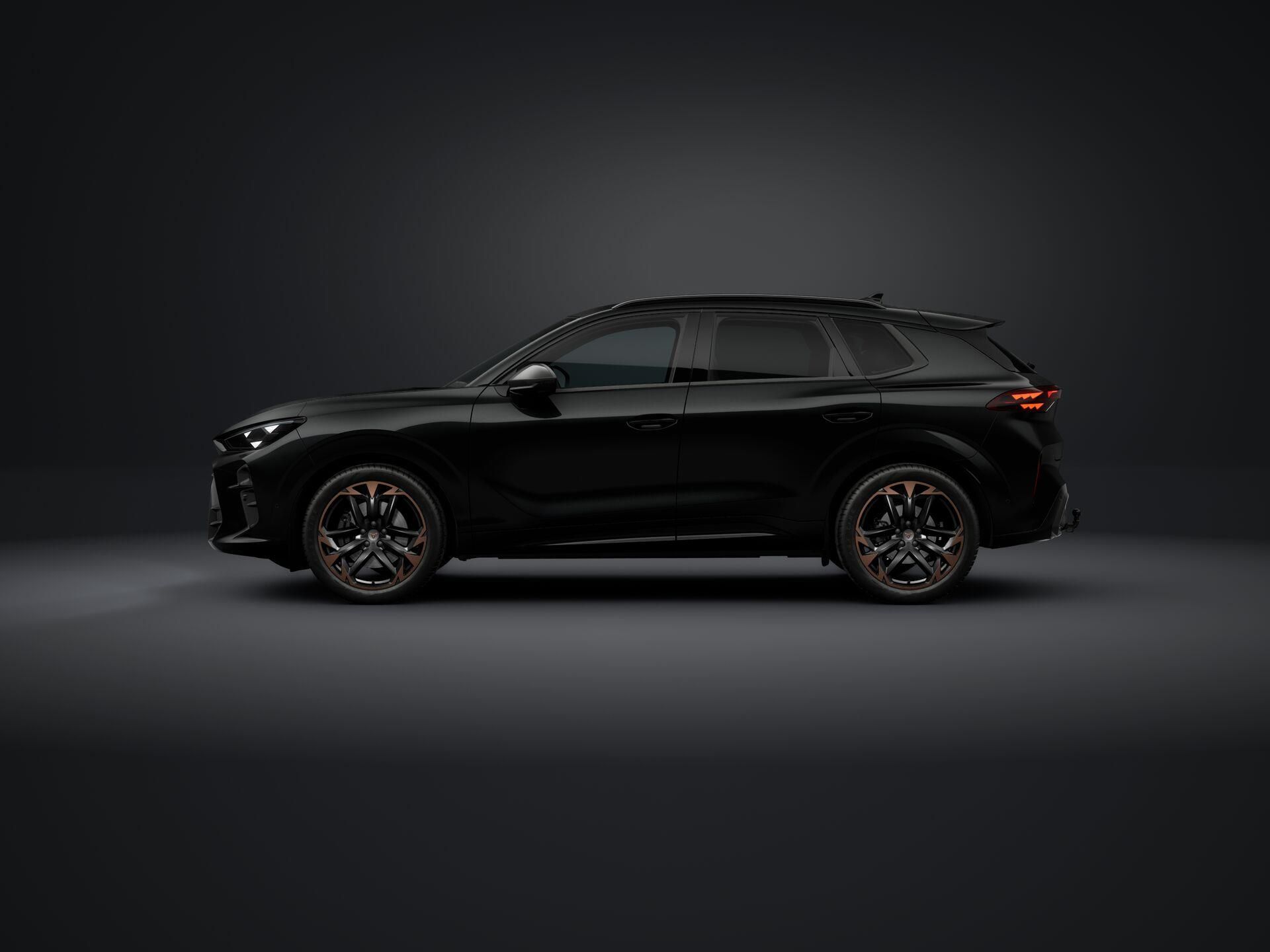 Cupra Terramar, 2.0 TSI 204k DSG 4WD - fotka 2
