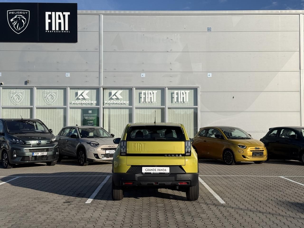 Fiat Grande Panda, Icon 1.2 Turbo Hybrid 110k - fotka 5