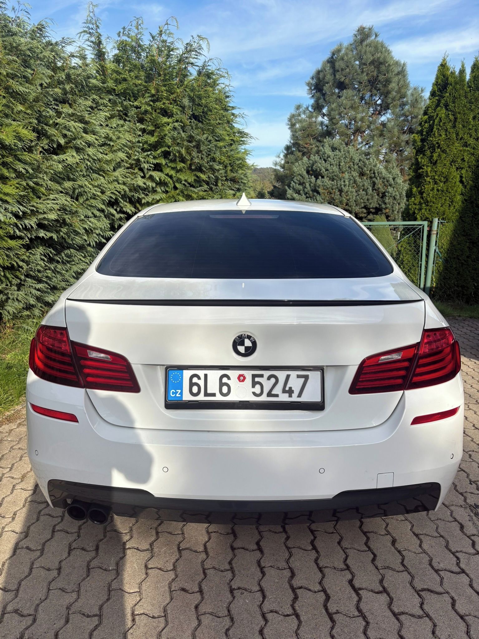 BMW Řada 5, BMW 530xd 2016 - fotka 6