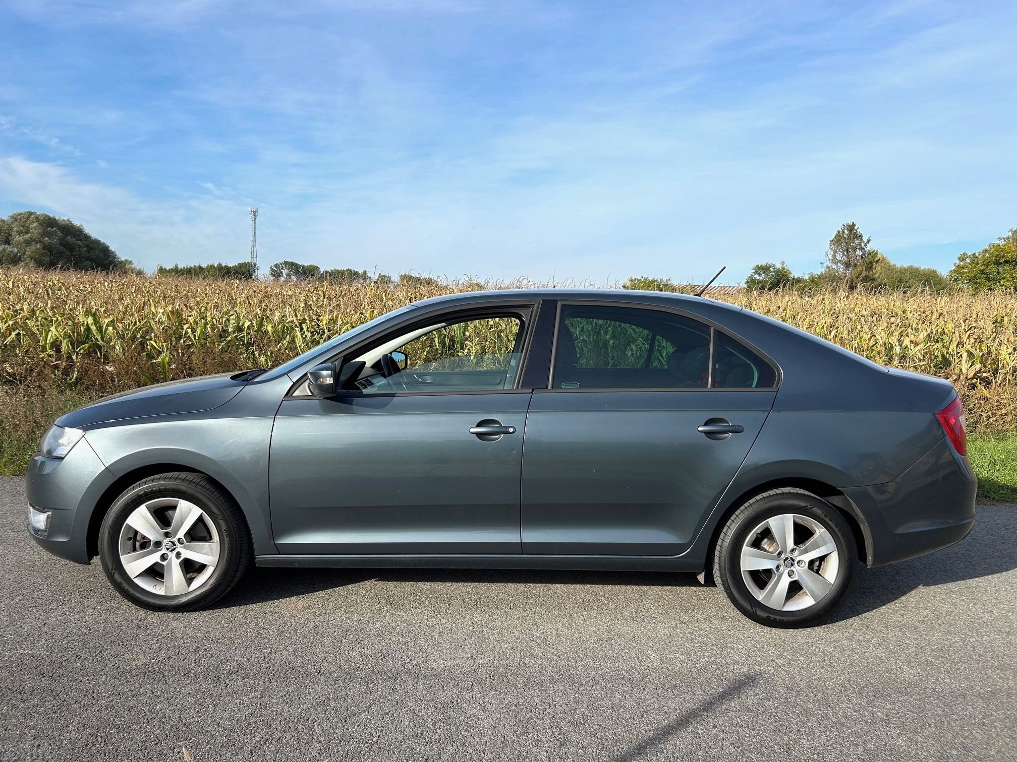Škoda Rapid, 1.2TSi 81kw, 1.majitel - fotka 2