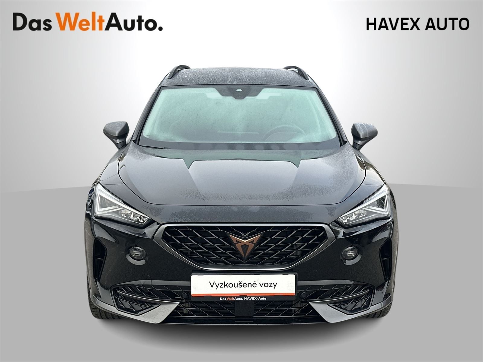 Cupra Formentor, 2.0 TSI 4Drive DSG - fotka 4