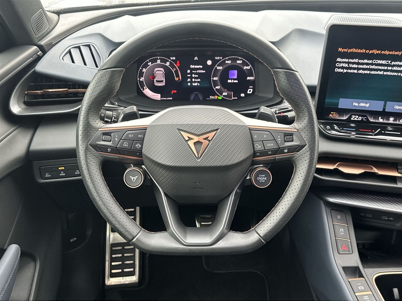 Cupra Terramar, 2.0 TSI 4Drive DSG - fotka 6