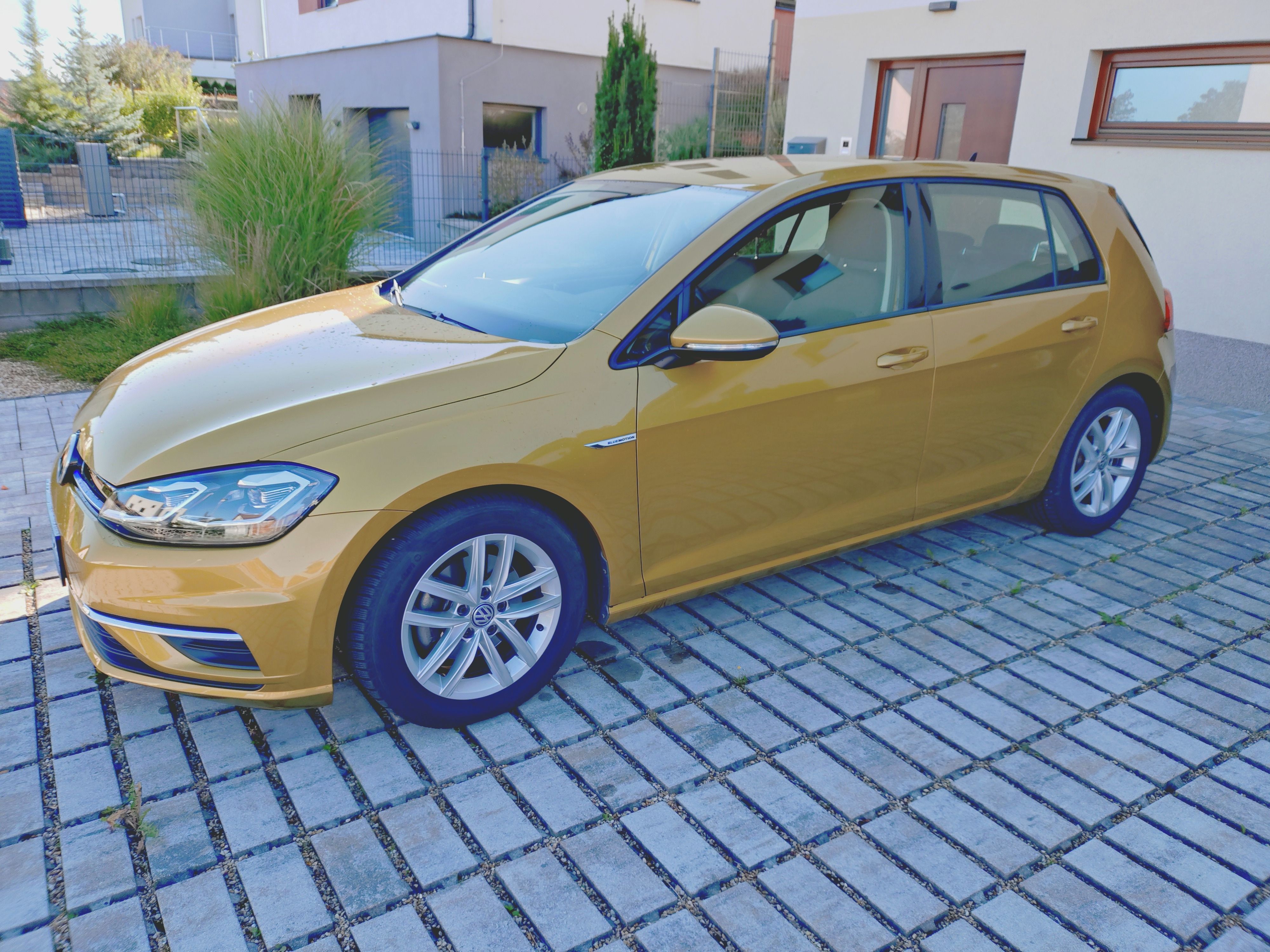 Volkswagen Golf, VII 1.5 TSI EVO DSG 1. majitel - fotka 6
