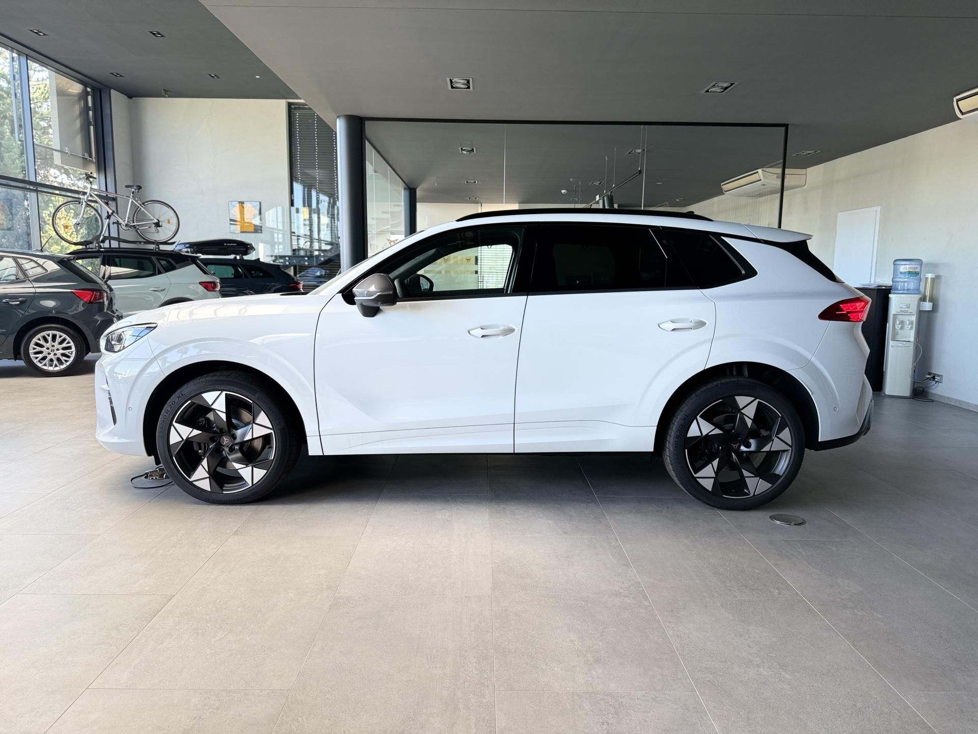 Cupra Terramar, VZ 2.0 TSi 265k DSG 4WD - fotka 2