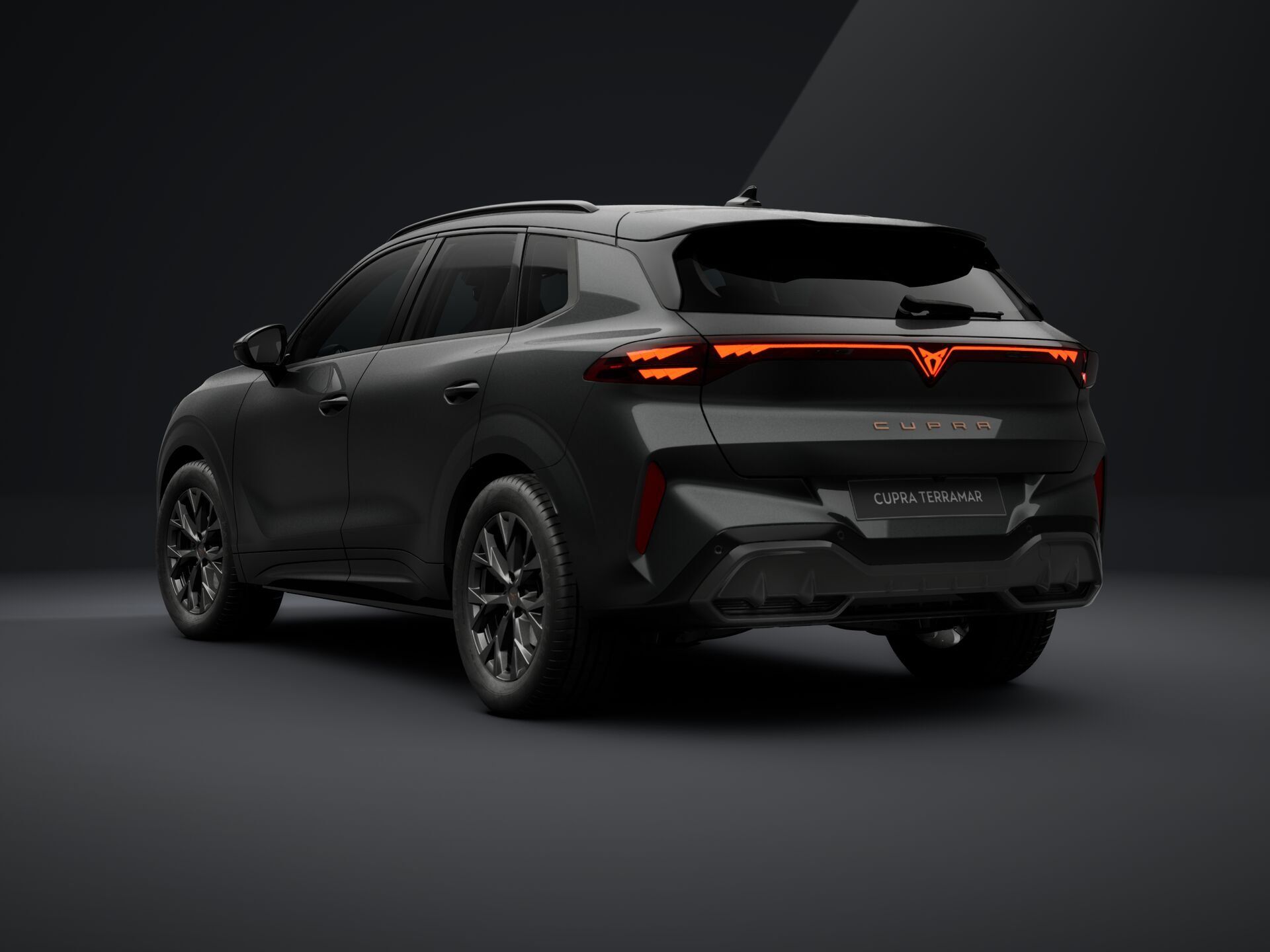 Cupra Terramar, Terramar 1.5 eTSI 150k DSG - fotka 3