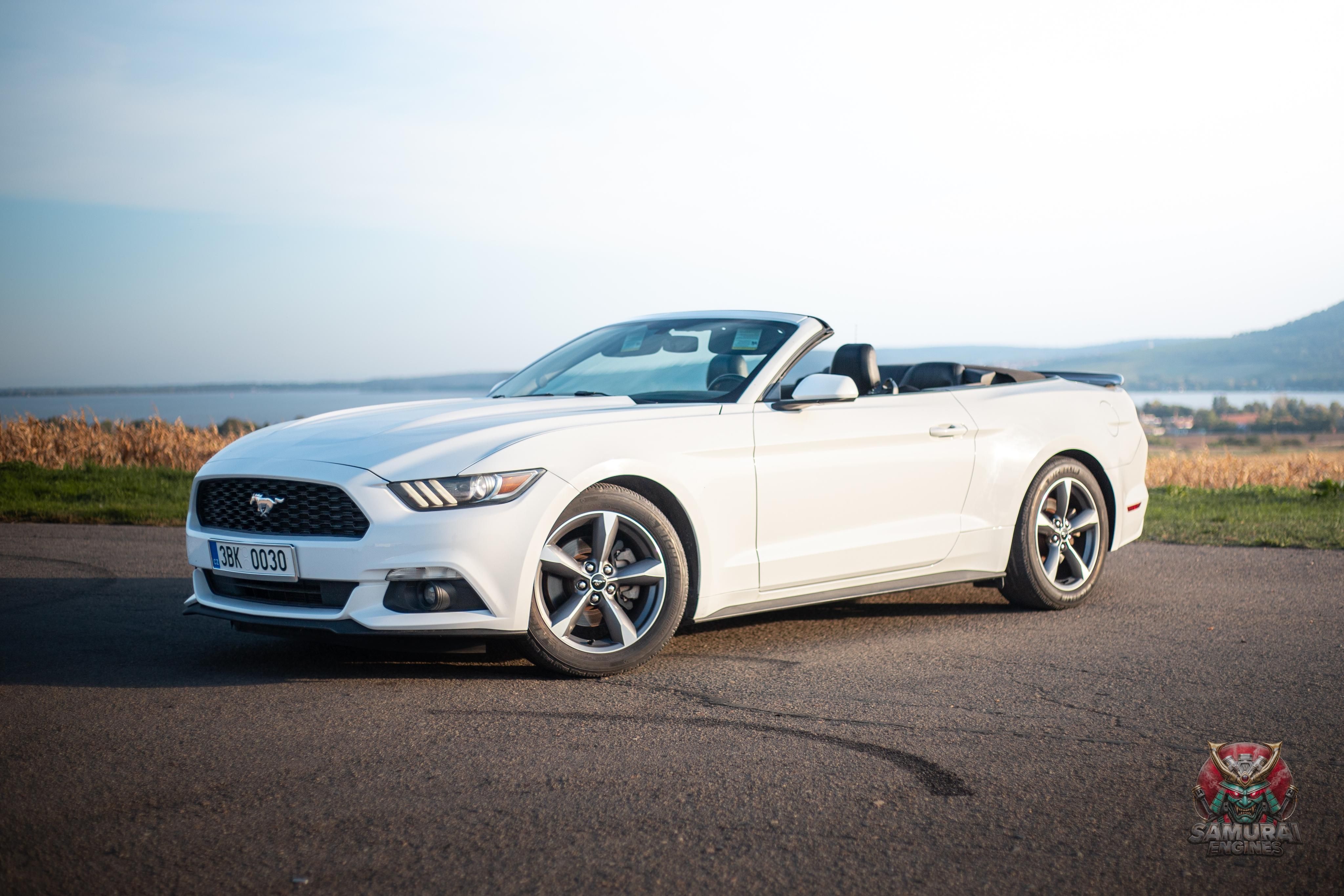 Ford Mustang, Ford Mustang 3.7l V6 - fotka 3