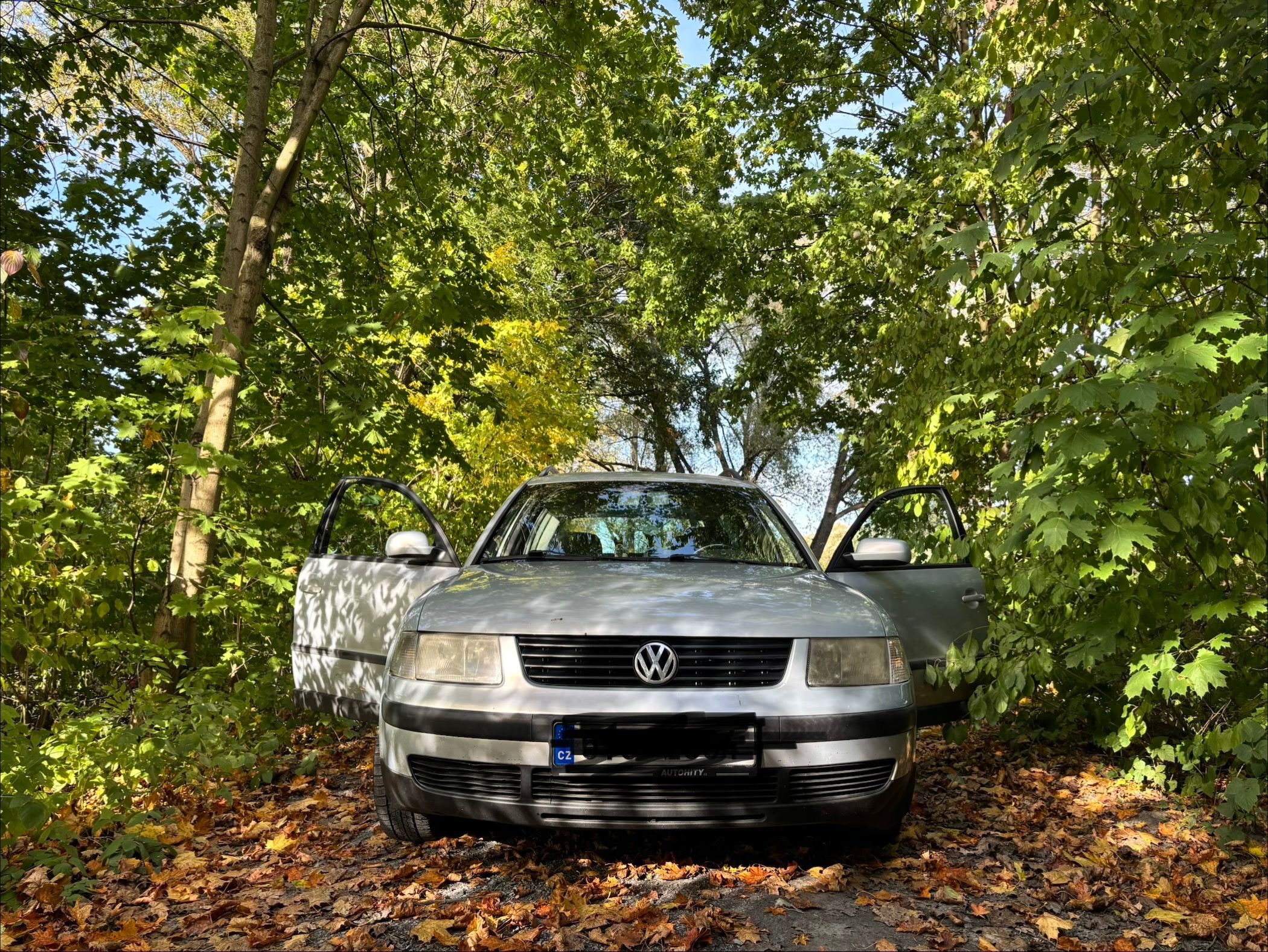 Volkswagen Passat Variant, VW Passat Variant 1.8T 110 kW