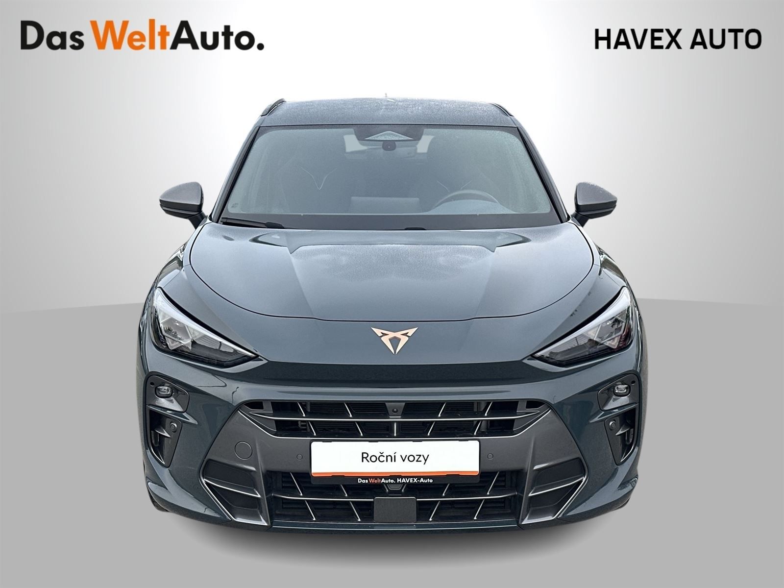 Cupra Terramar, 2.0 TSI 4Drive DSG - fotka 4