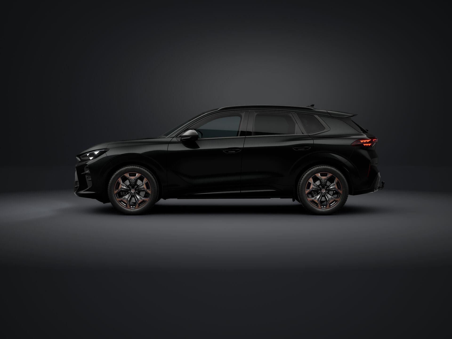 Cupra Terramar, 2.0 TSI 204k DSG 4WD - fotka 2