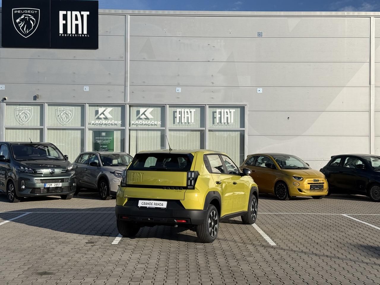 Fiat Grande Panda, Icon 1.2 Turbo Hybrid 110k - fotka 6