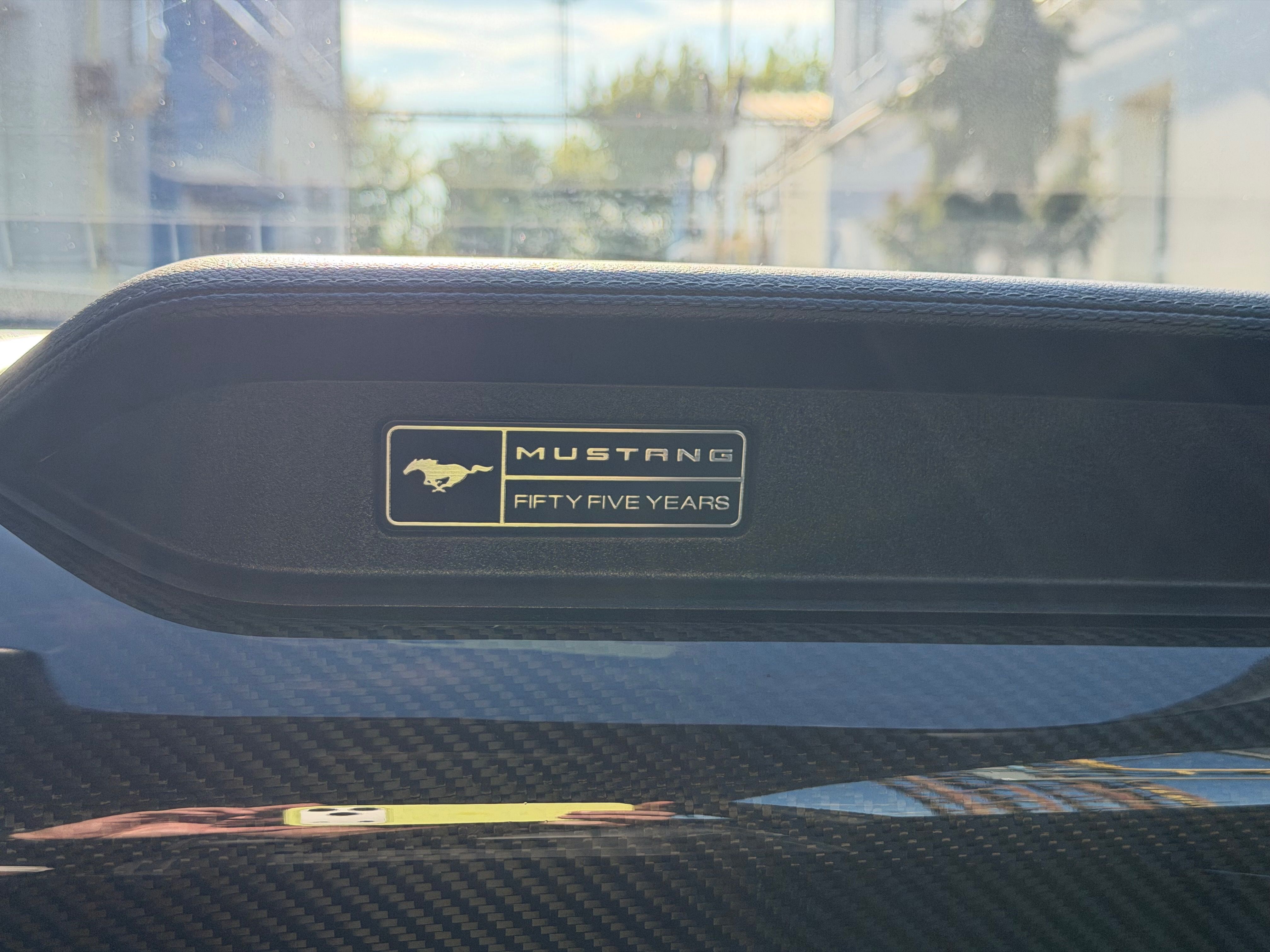 Ford Mustang - fotka 6
