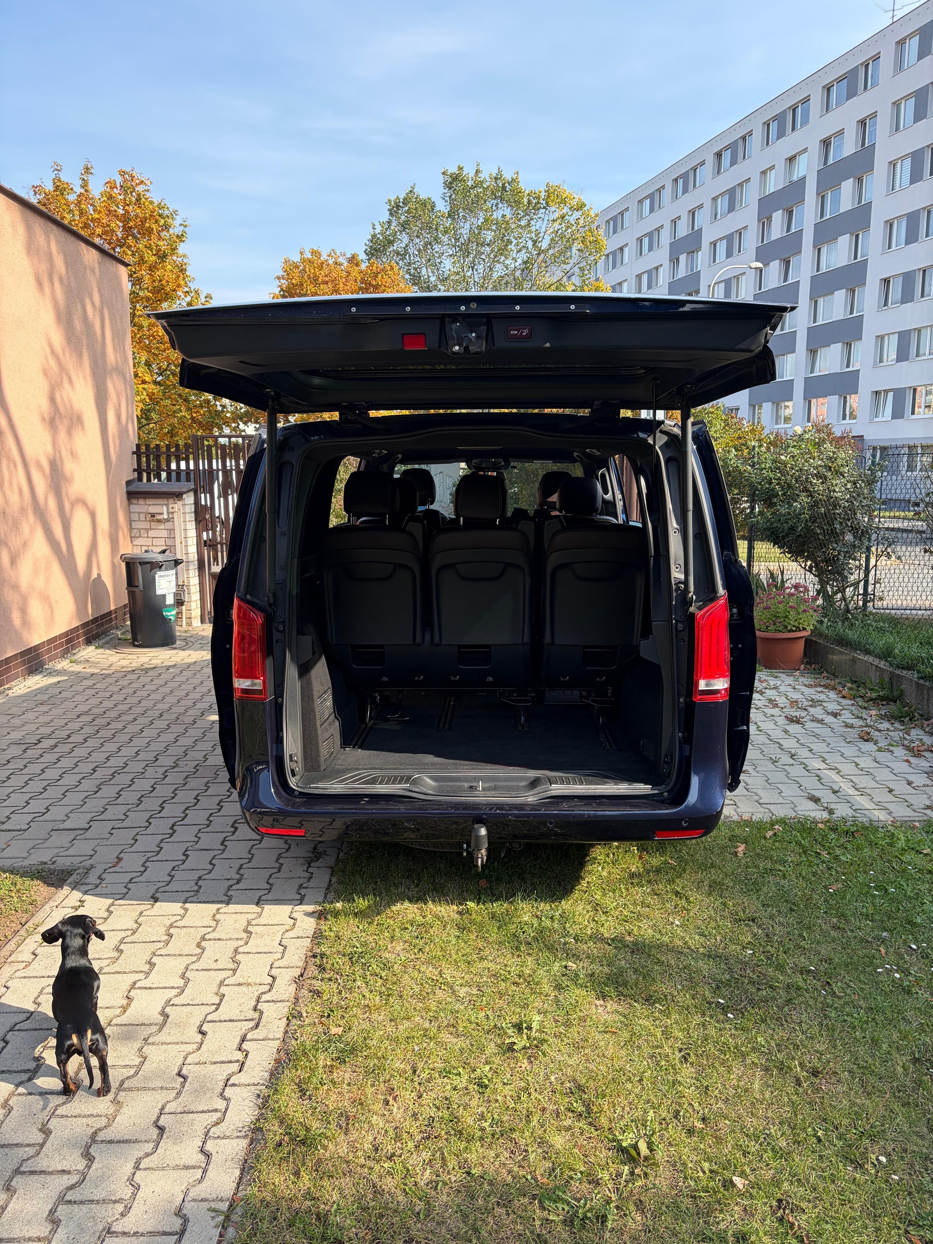 Mercedes-Benz Třídy V, V250d 8místné DPH CZ 1majitel - fotka 6