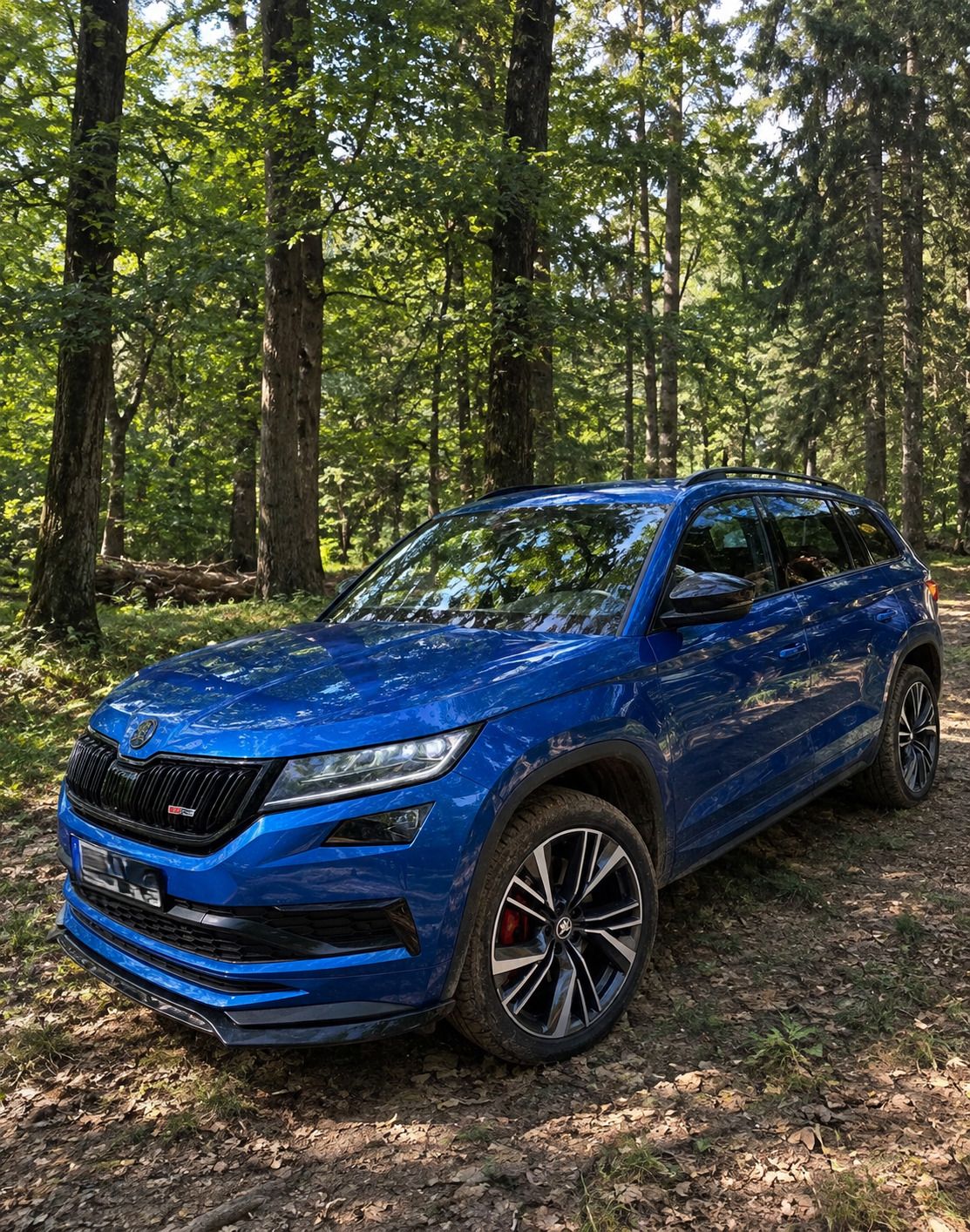Škoda Kodiaq, RS Challenge